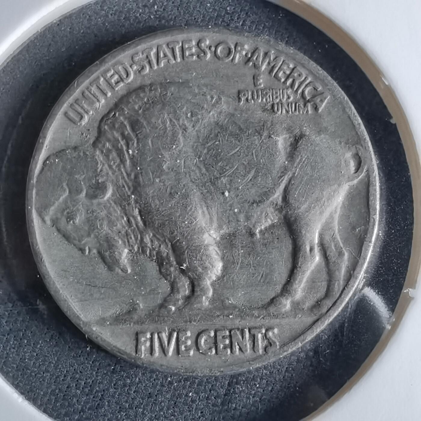 沼泽如烟--第956场