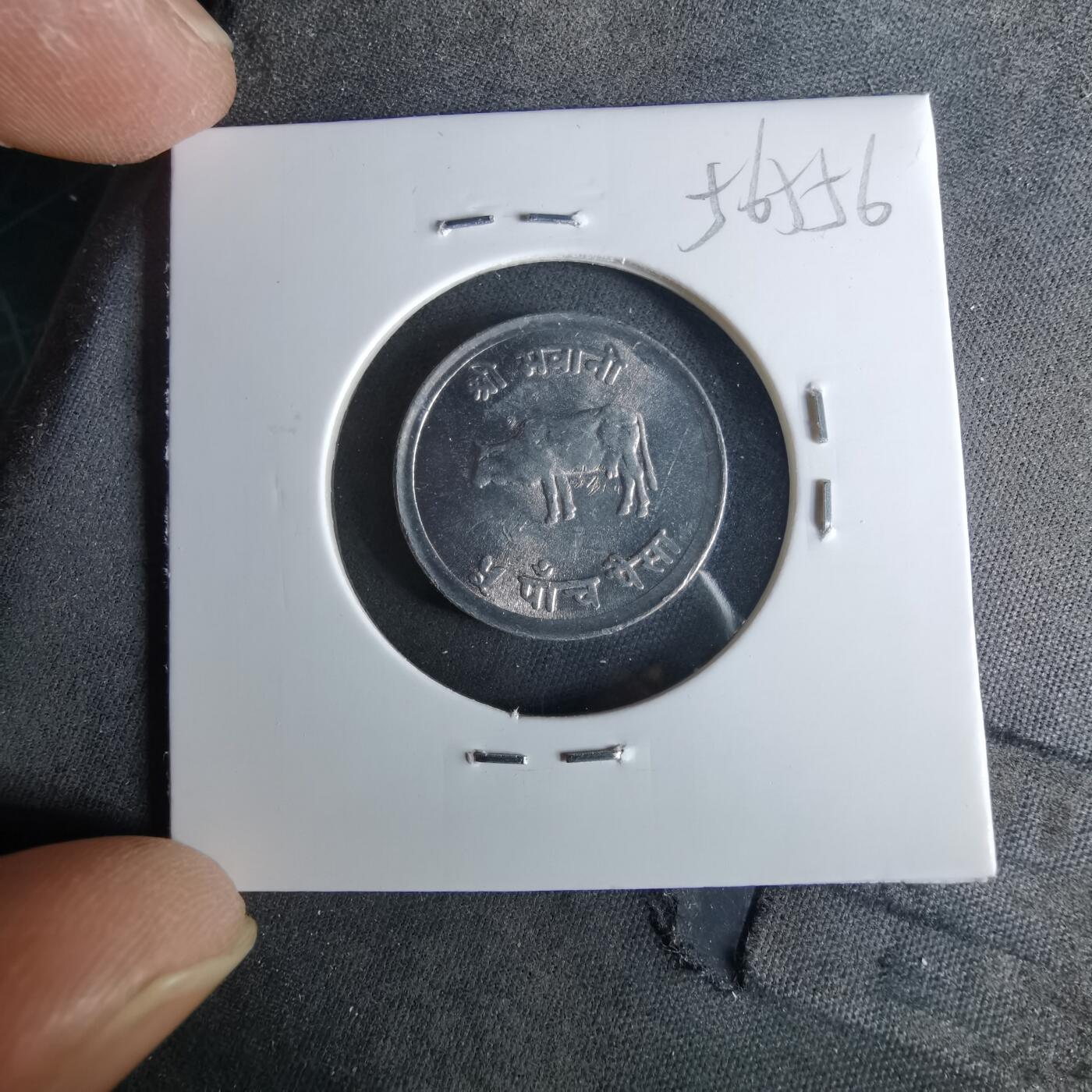 沼泽如烟--第956场