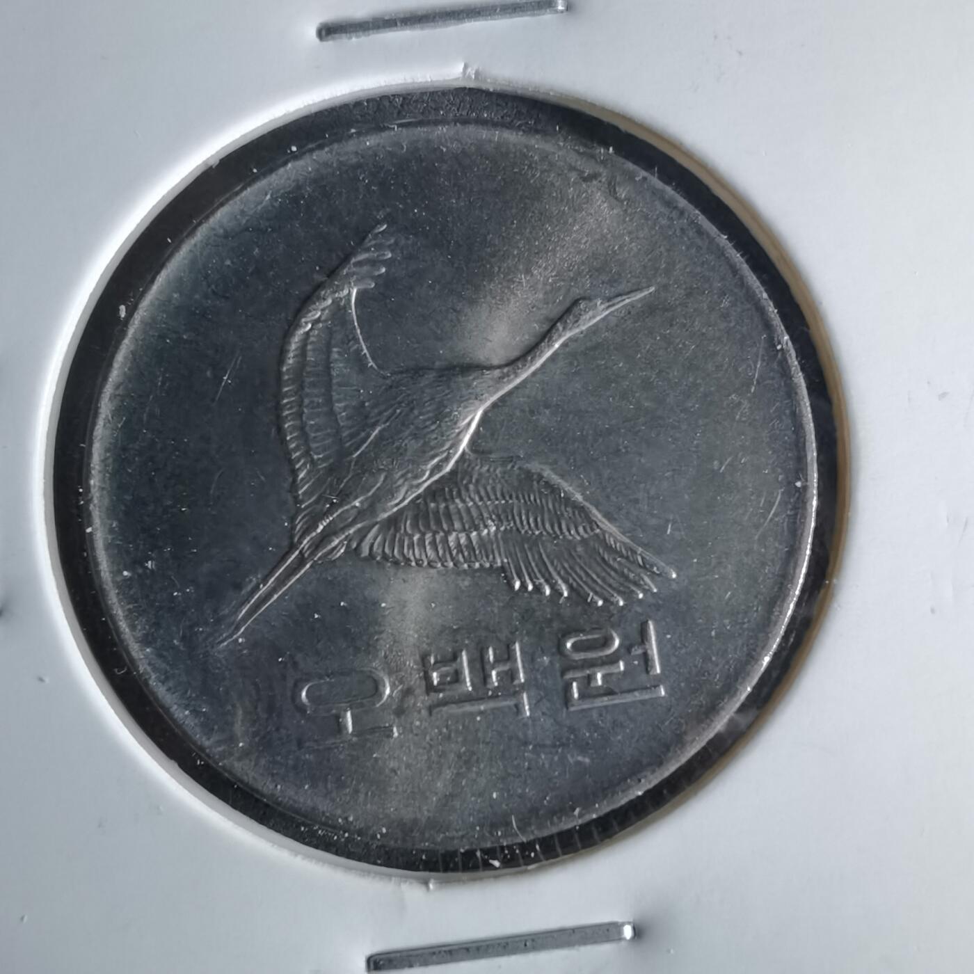 沼泽如烟--第956场