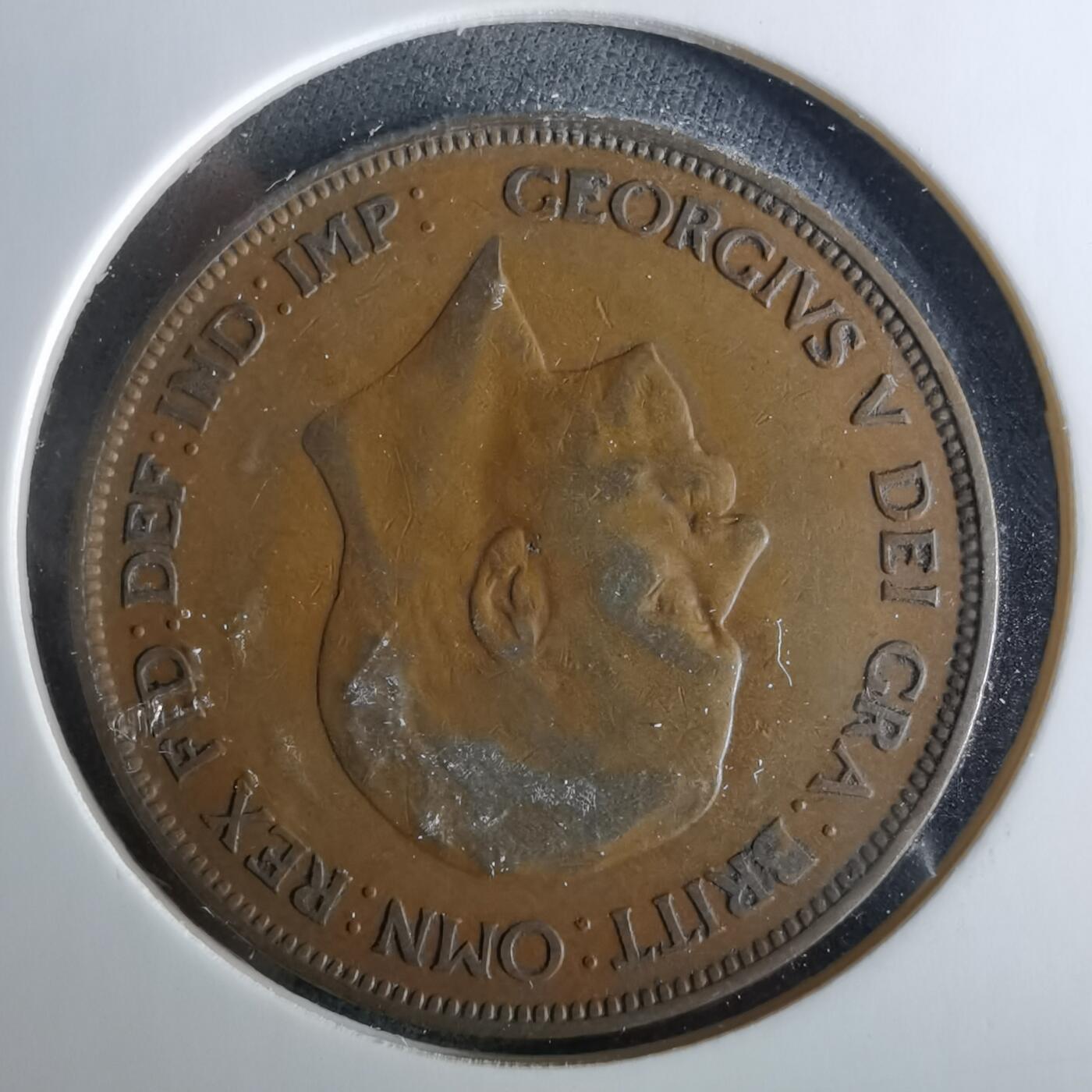 沼泽如烟--第956场