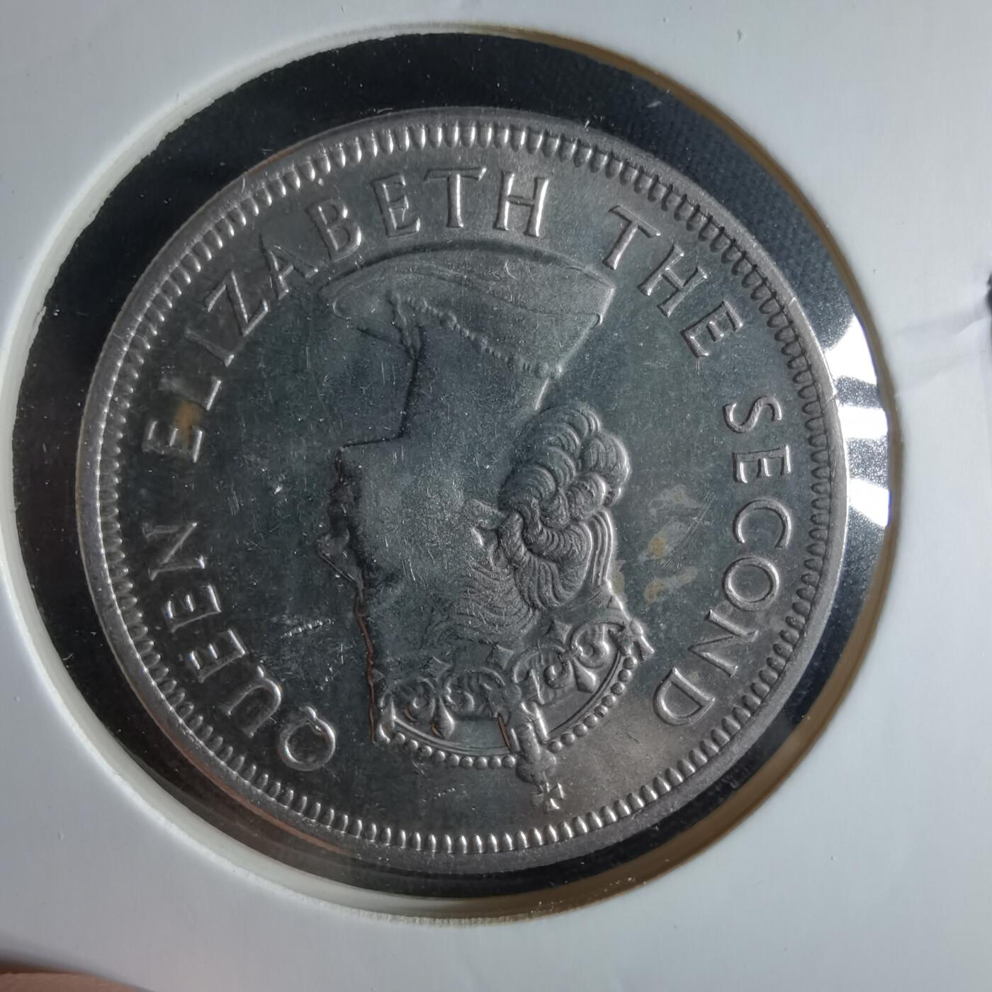 沼泽如烟--第956场