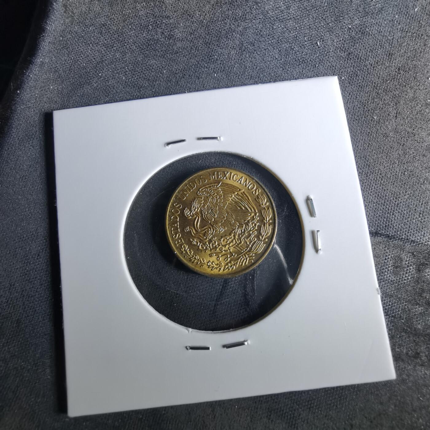 沼泽如烟--第956场