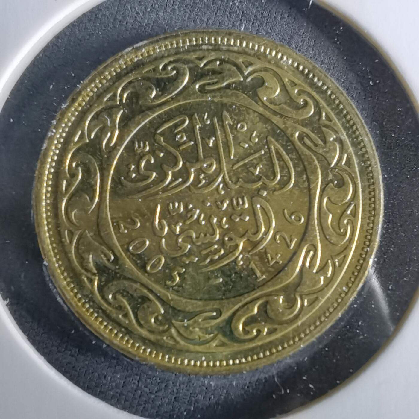 沼泽如烟--第956场