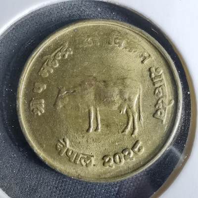 沼泽如烟--第956场 - 尼泊尔