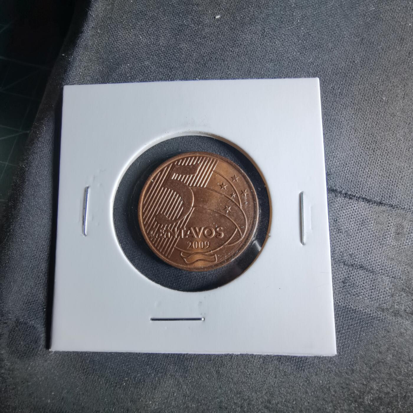 沼泽如烟--第956场