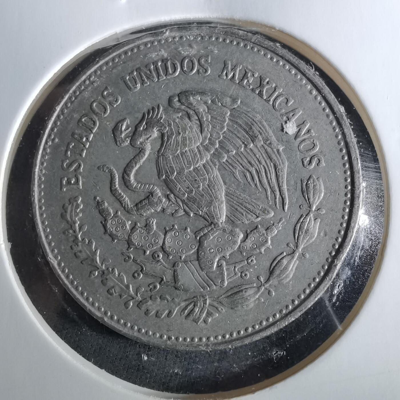 沼泽如烟--第956场