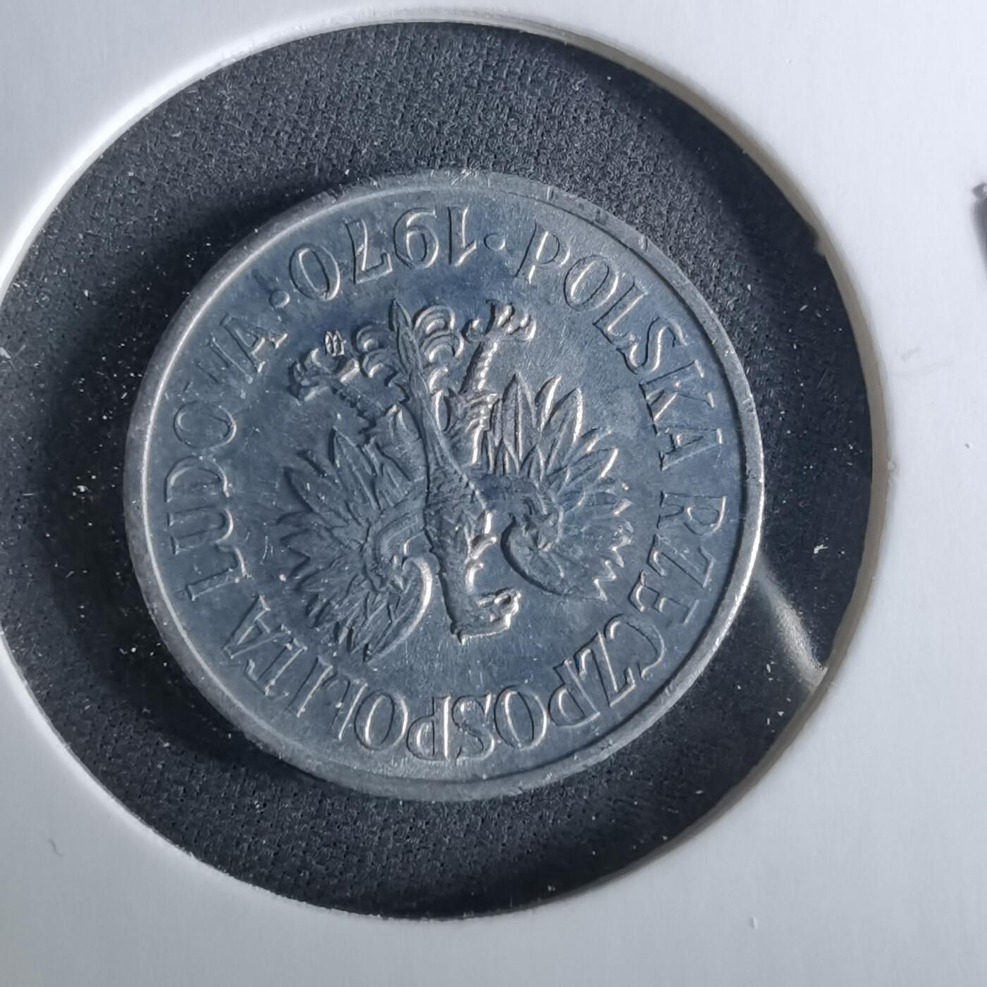 沼泽如烟--第956场