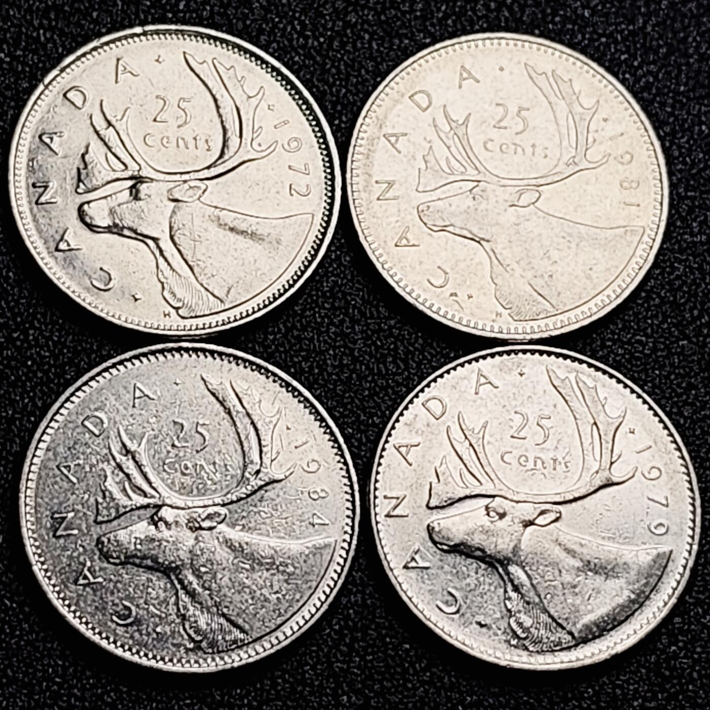 泉币菌-第167场- 精品福利场