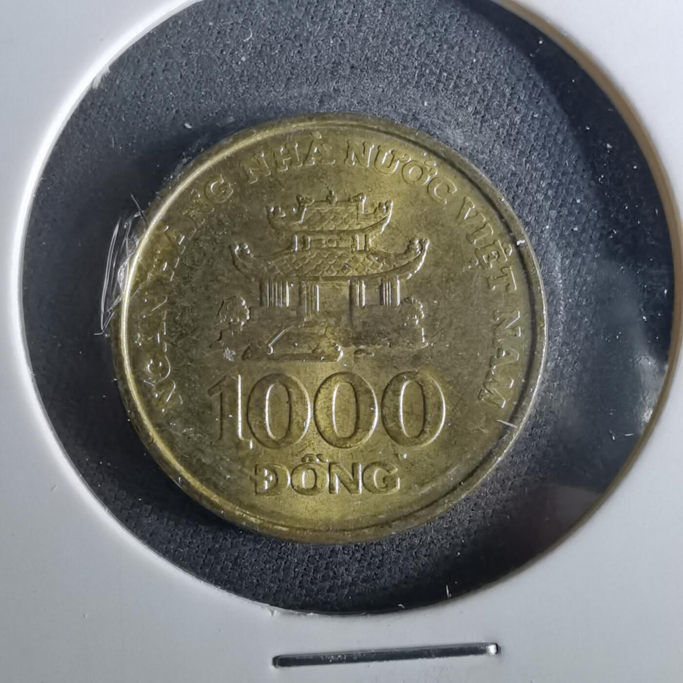 沼泽如烟--第956场