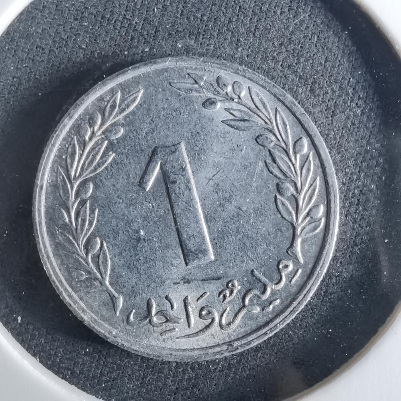 沼泽如烟--第956场