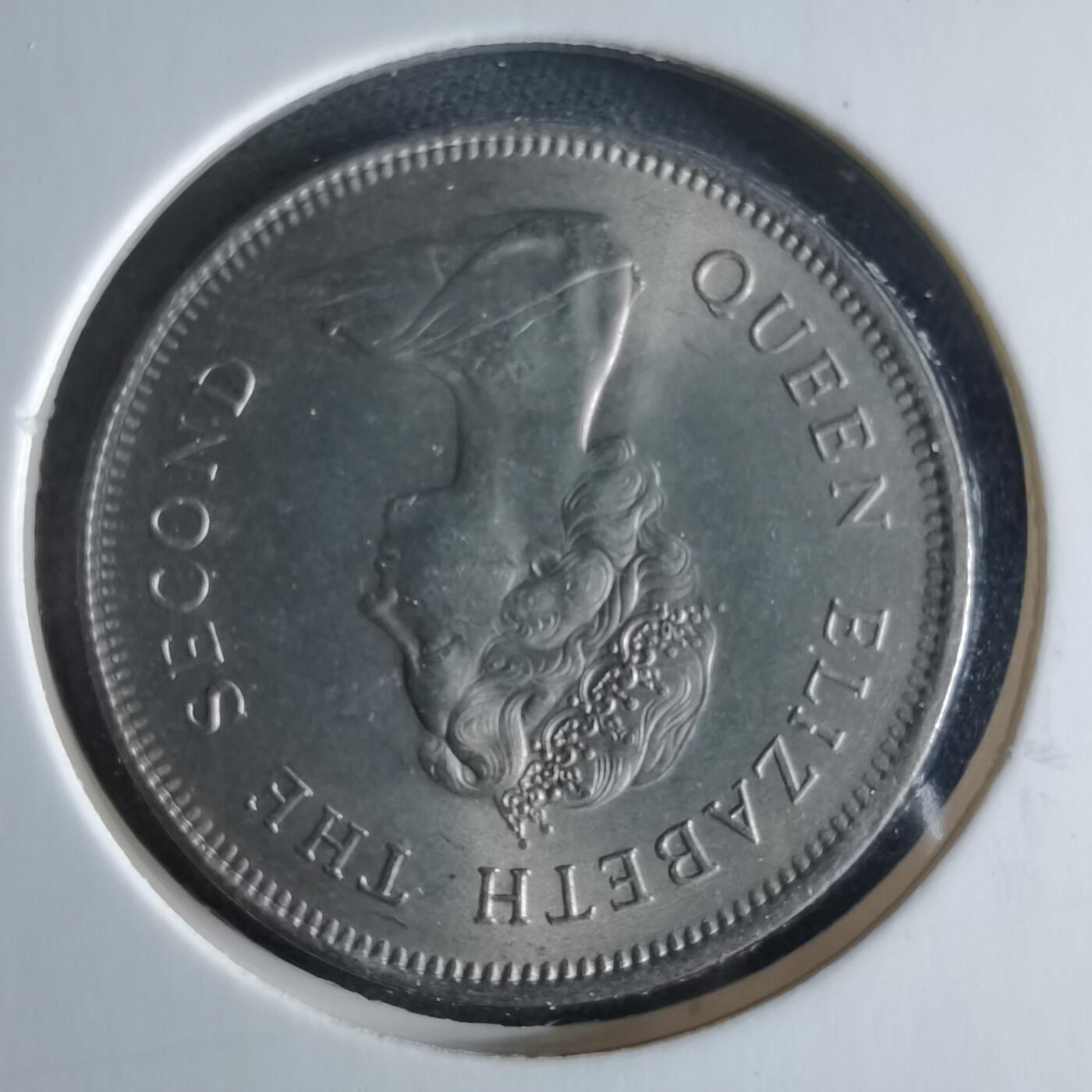 沼泽如烟--第956场