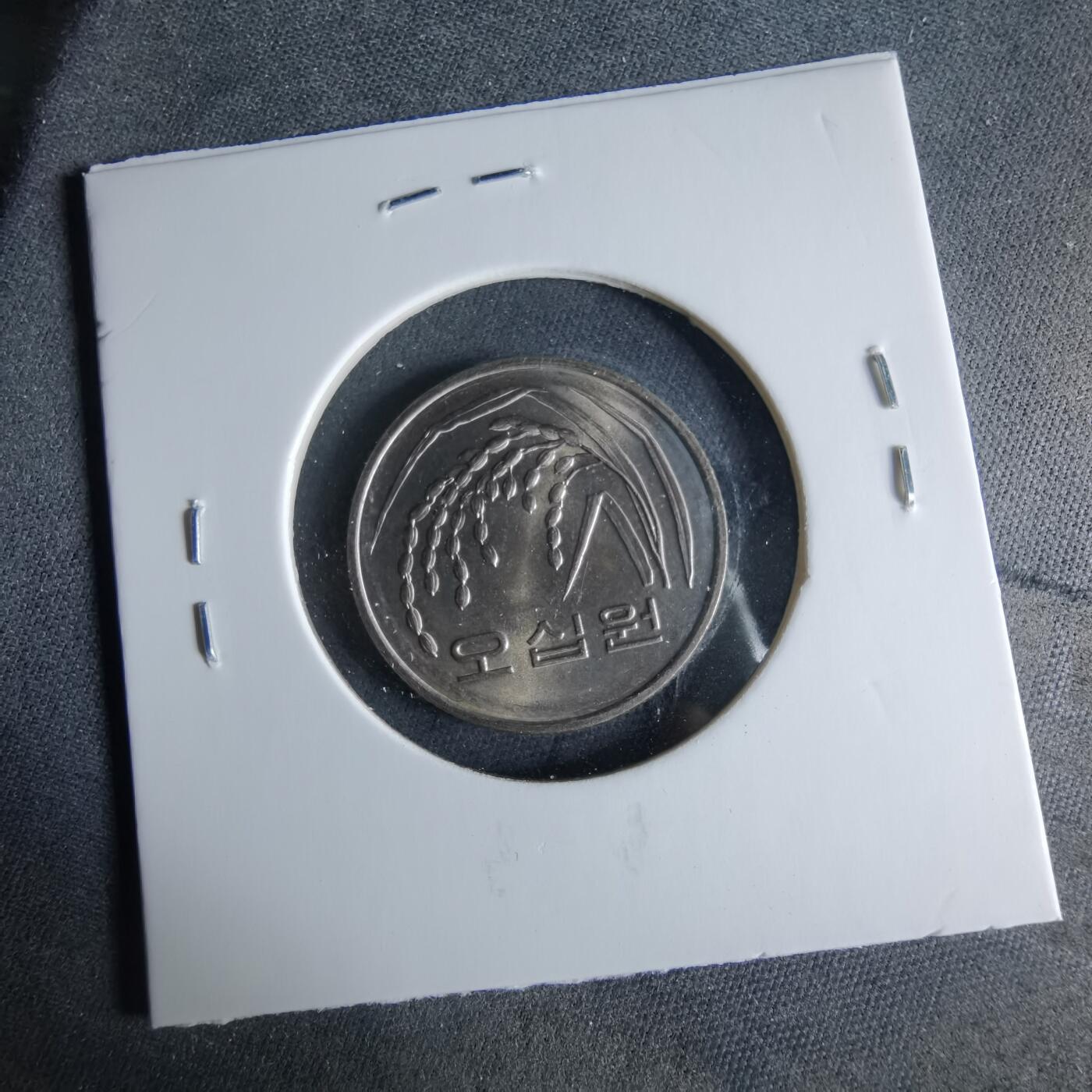 沼泽如烟--第956场