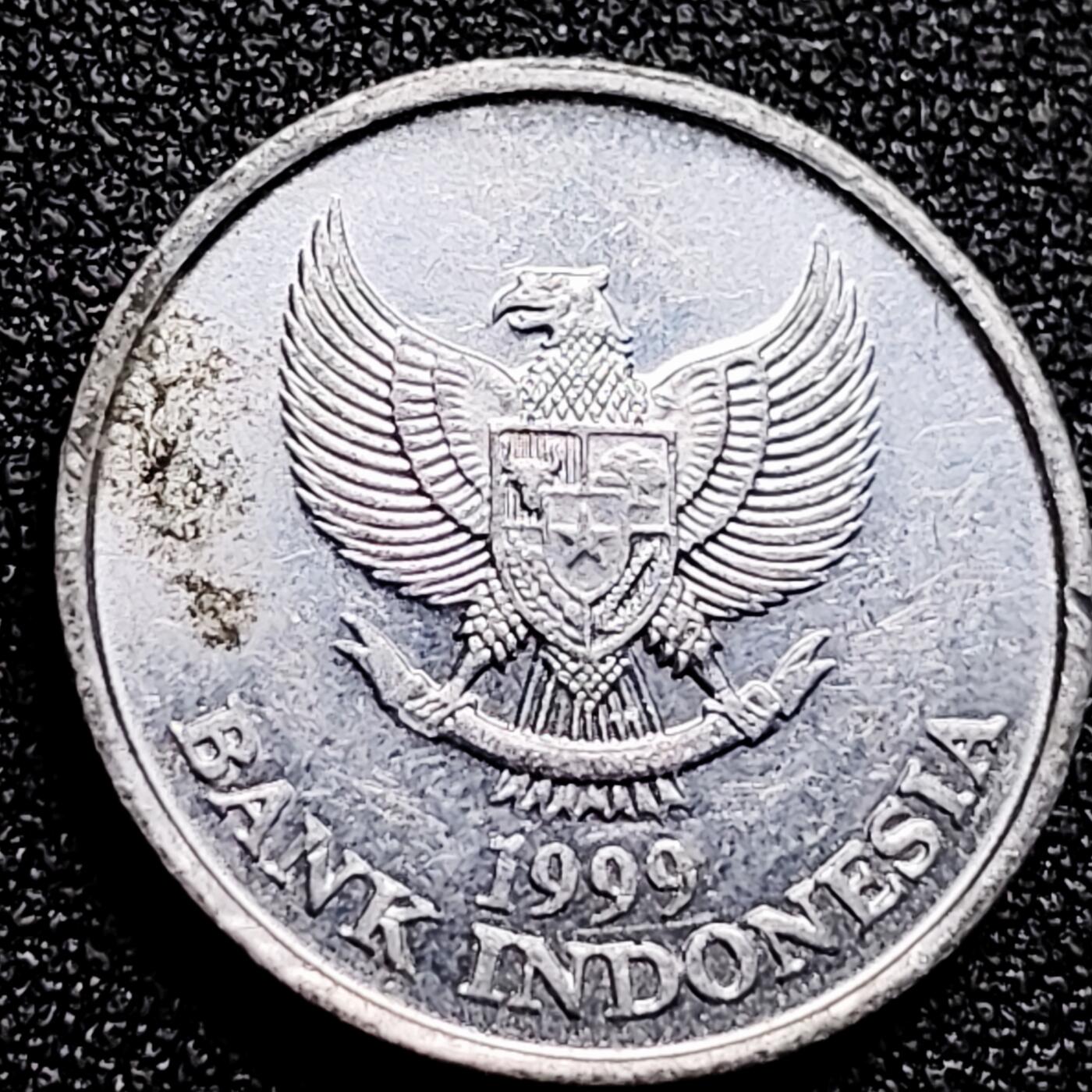 泉币菌-第167场- 精品福利场 。