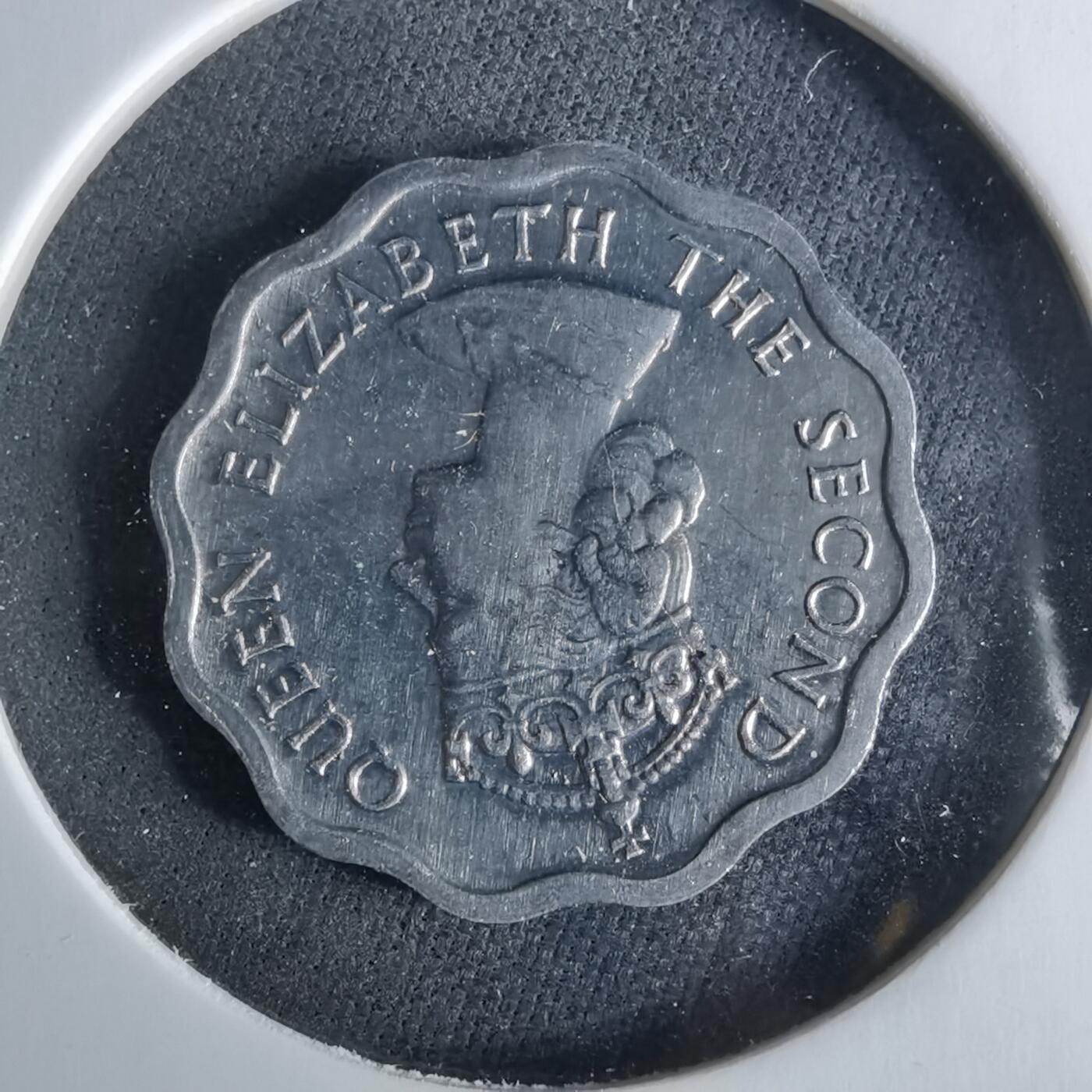 沼泽如烟--第956场