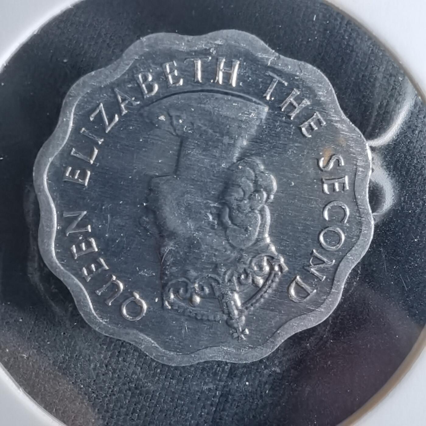 沼泽如烟--第956场