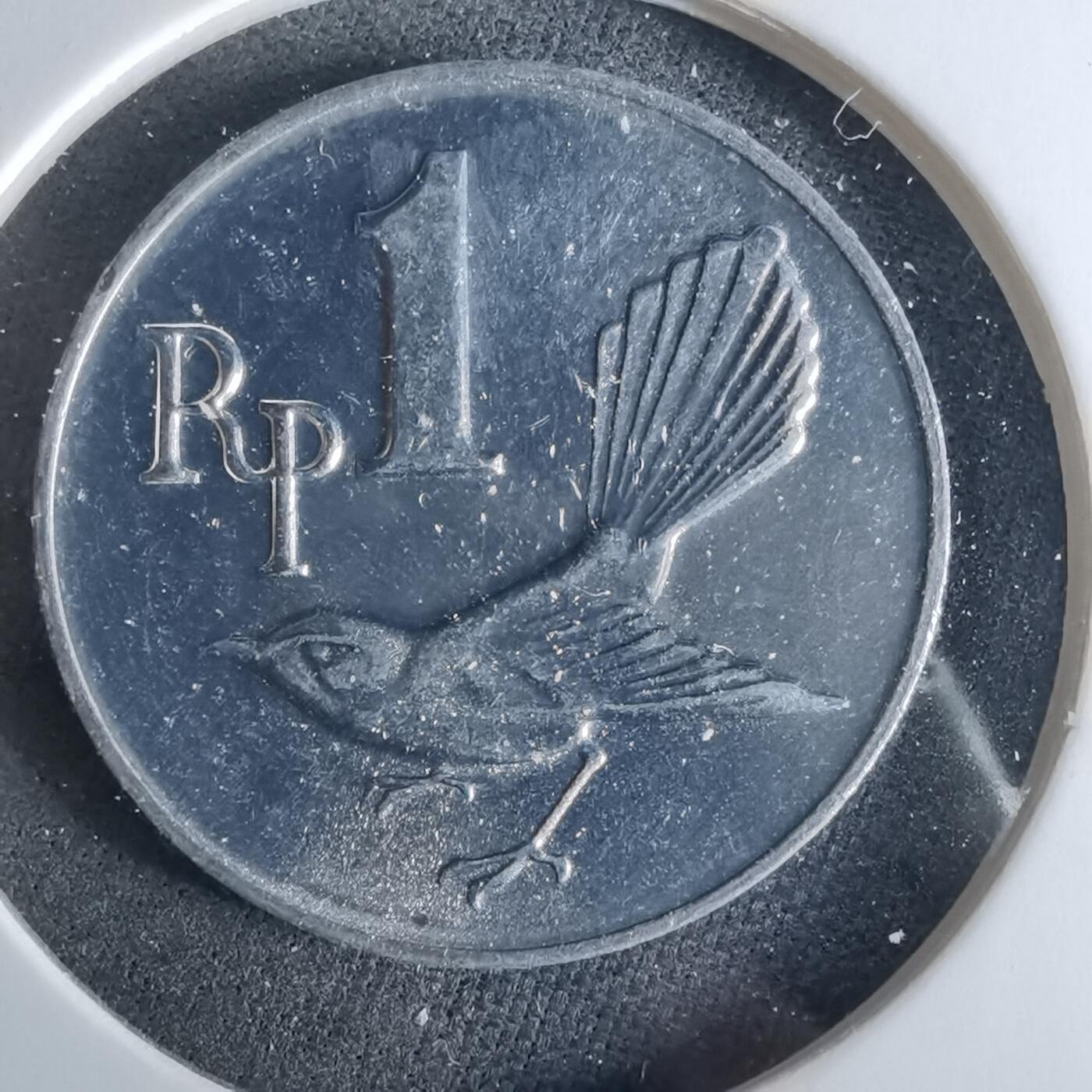 沼泽如烟--第956场