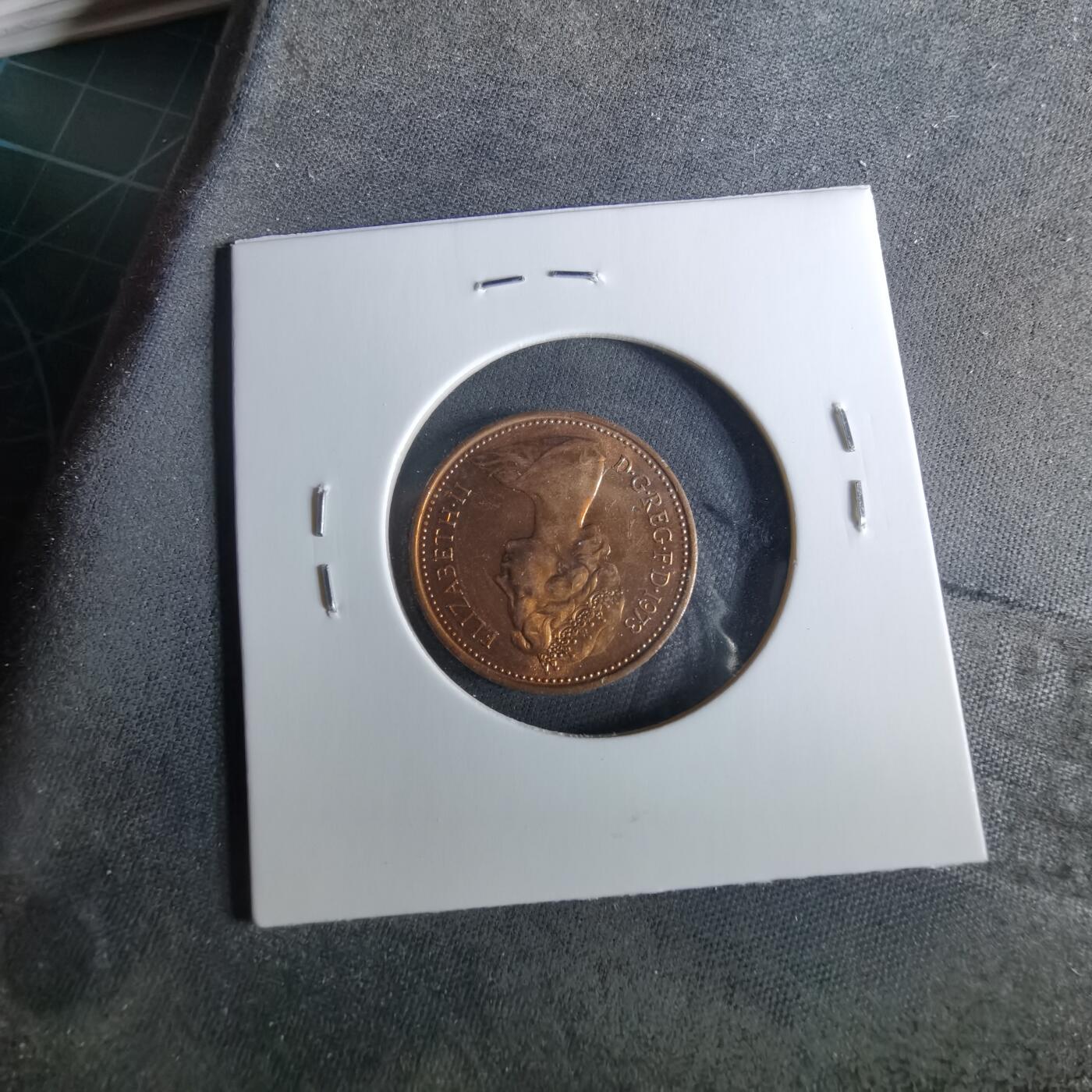 沼泽如烟--第956场