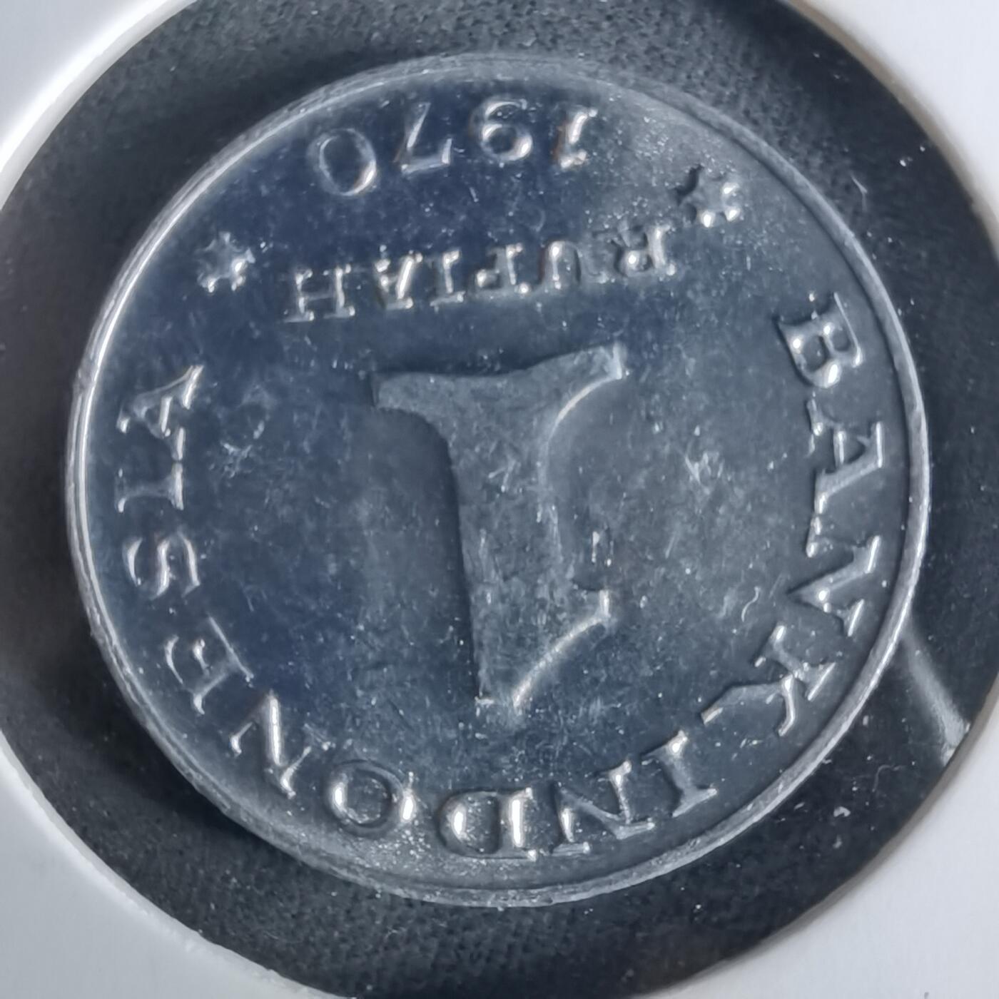 沼泽如烟--第956场