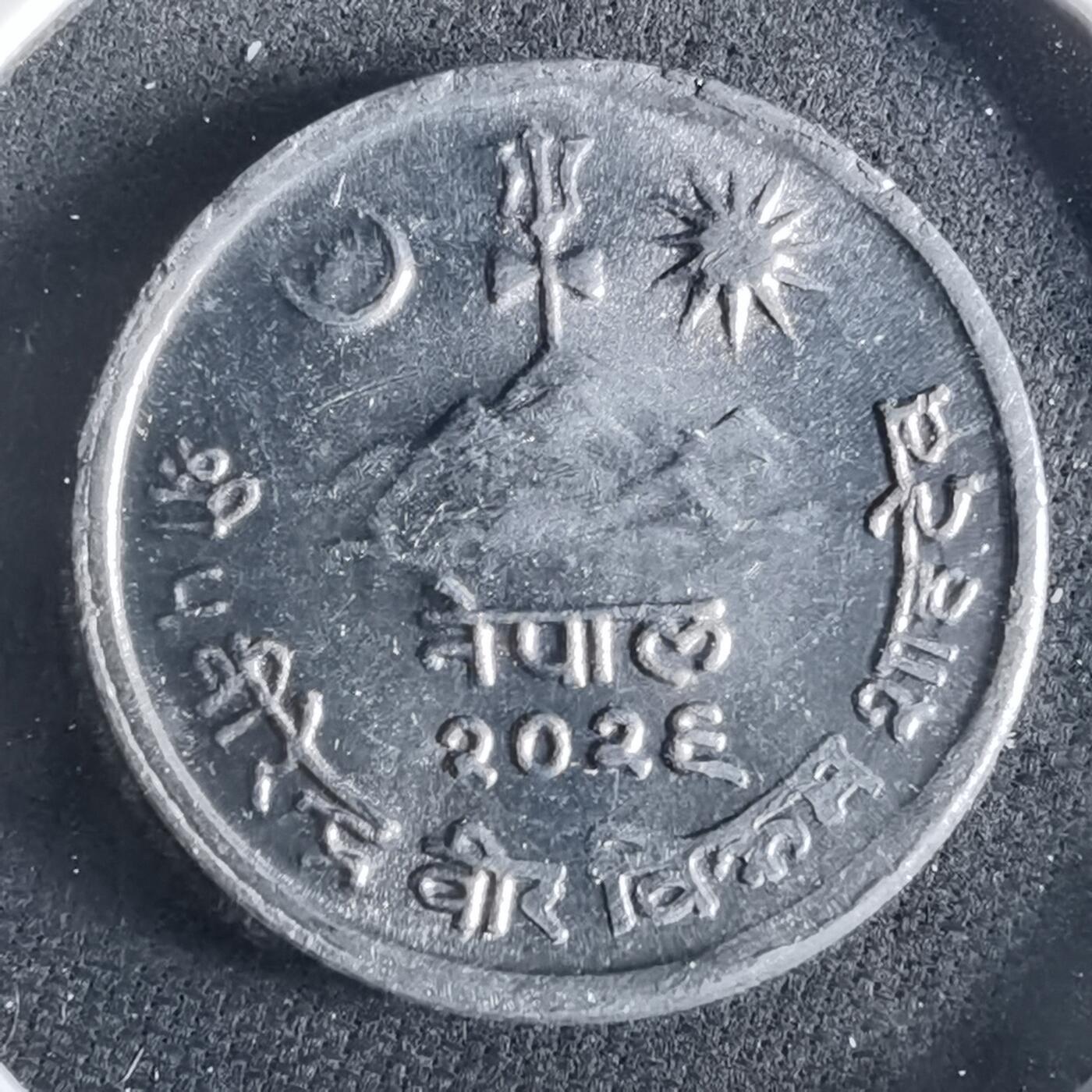 沼泽如烟--第956场