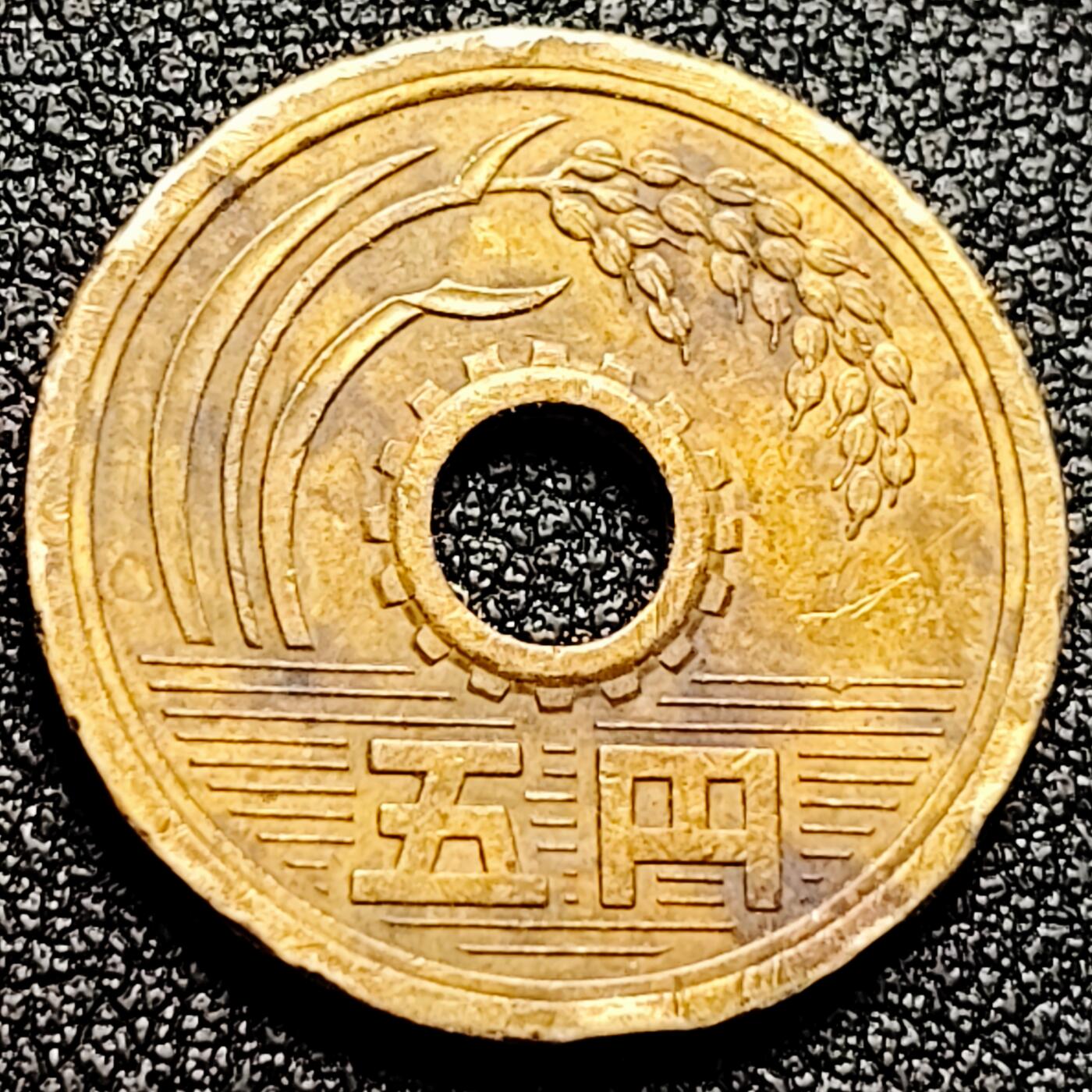 泉币菌-第167场- 精品福利场 。