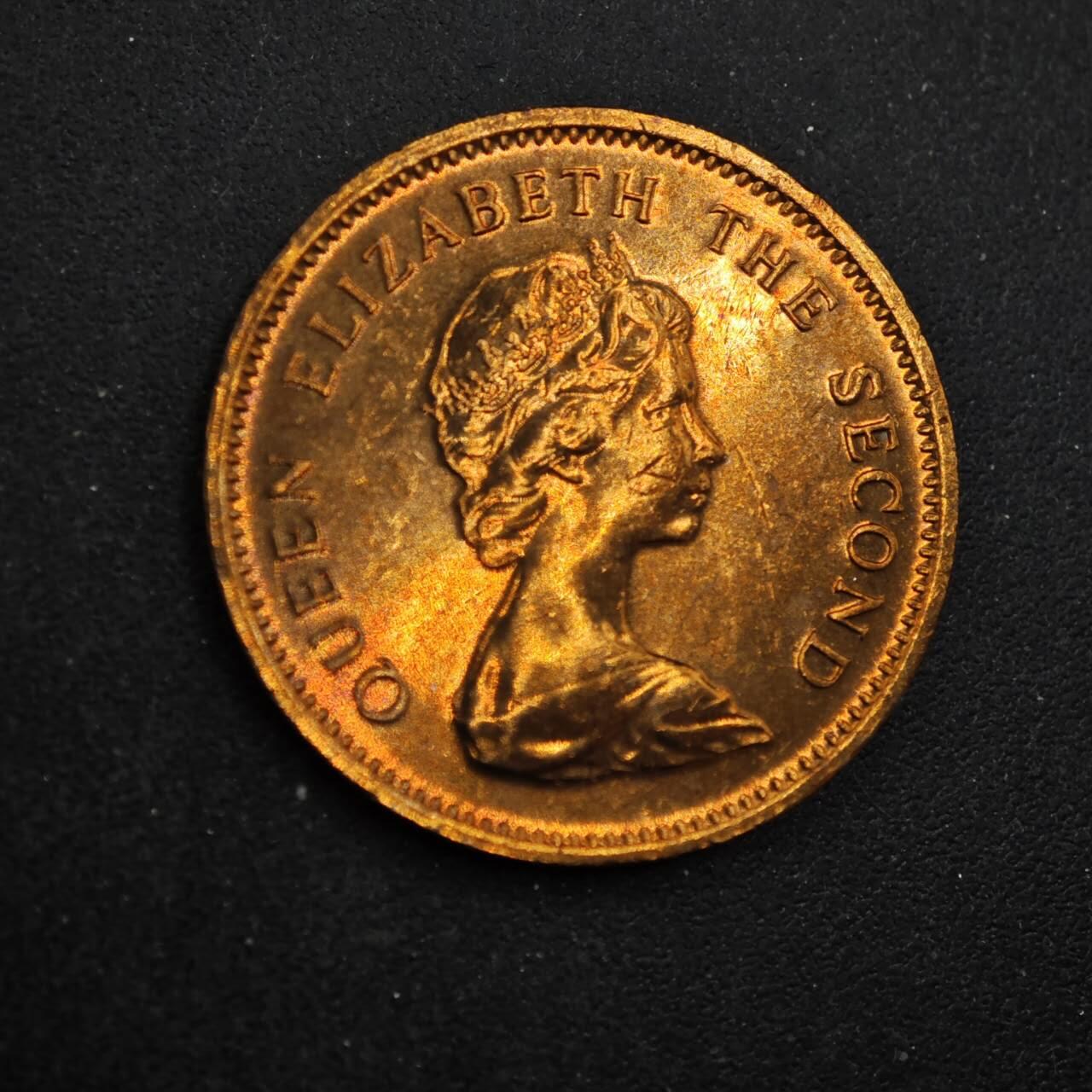 【淘币小摊】实时拍第八百四十四拍   散币场   满百包邮可预留二周 每周一统一发货   图瓦卢1985年2分魔鬼鱼铜币