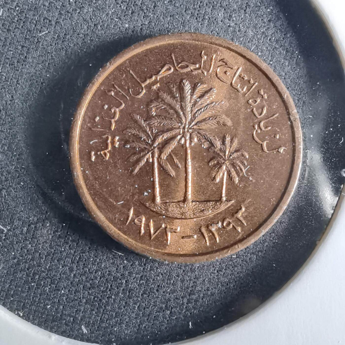 沼泽如烟--第956场