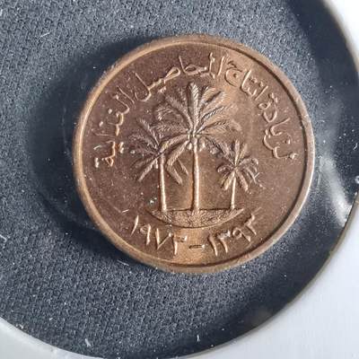 沼泽如烟--第956场 - 阿联酋