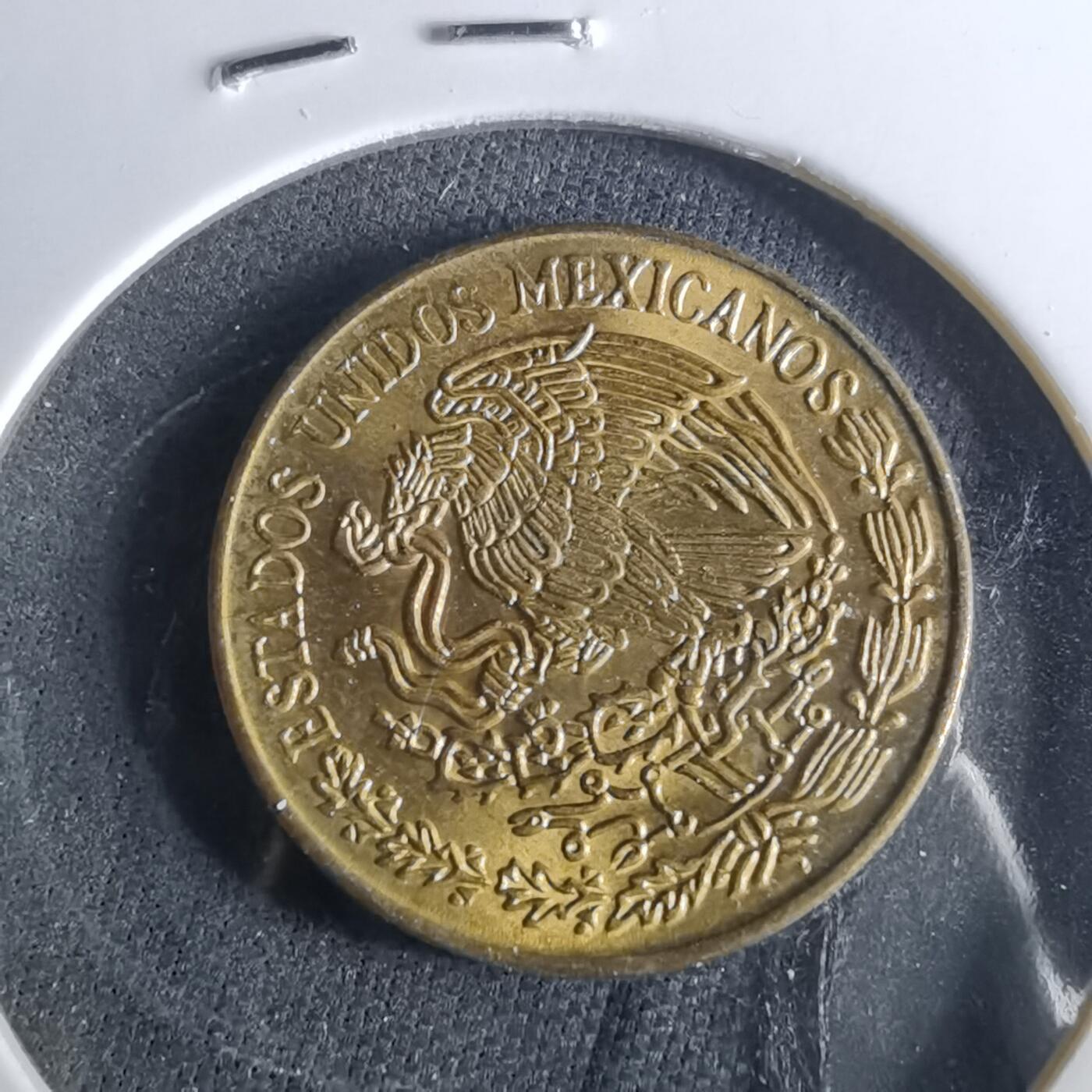 沼泽如烟--第956场