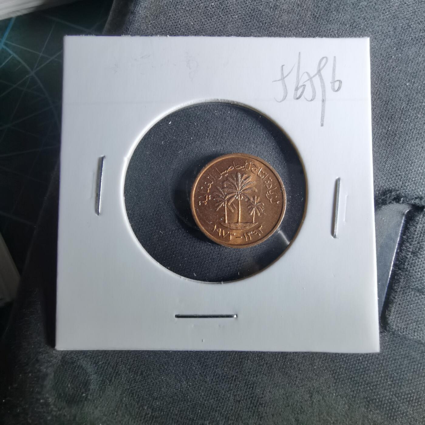 沼泽如烟--第956场