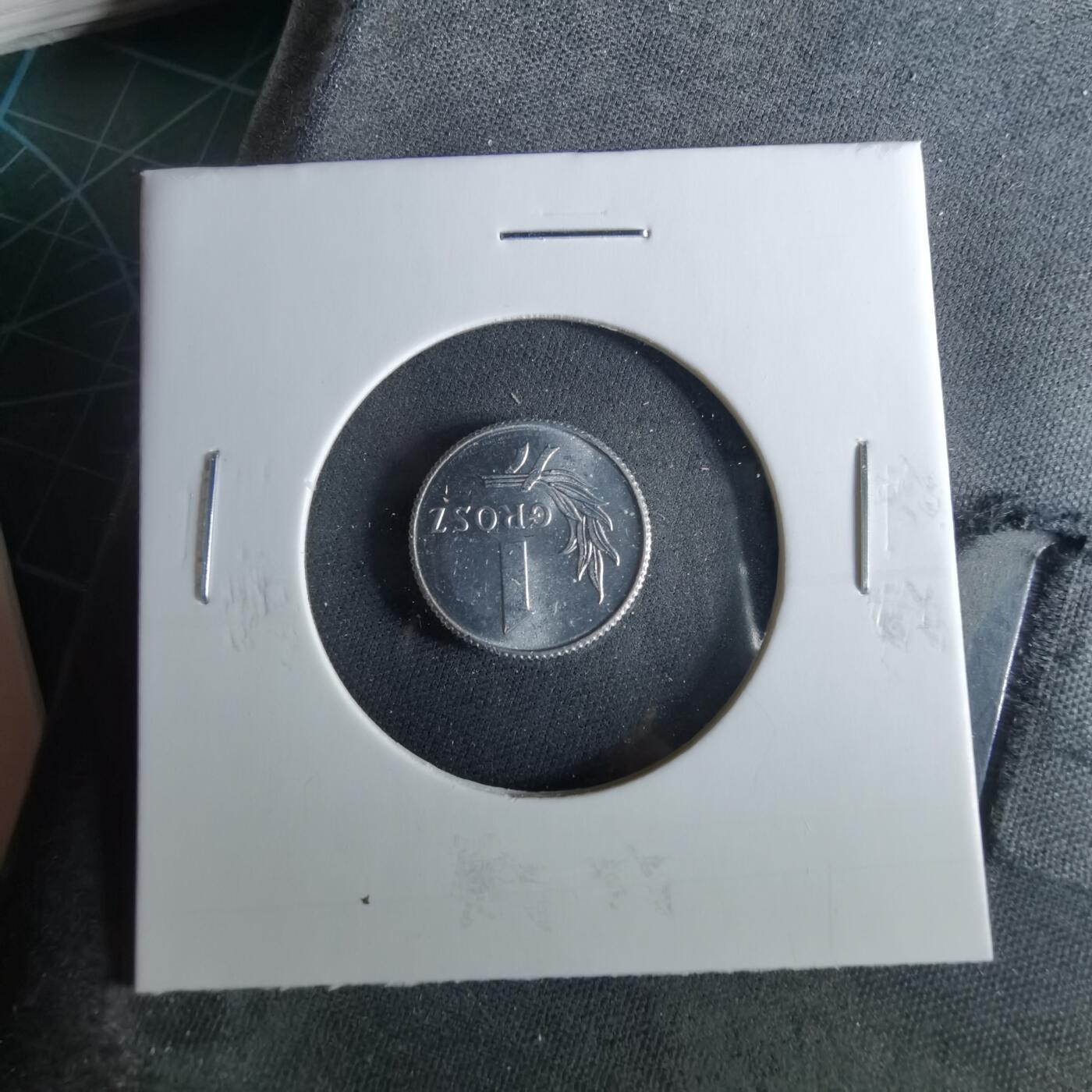 沼泽如烟--第956场