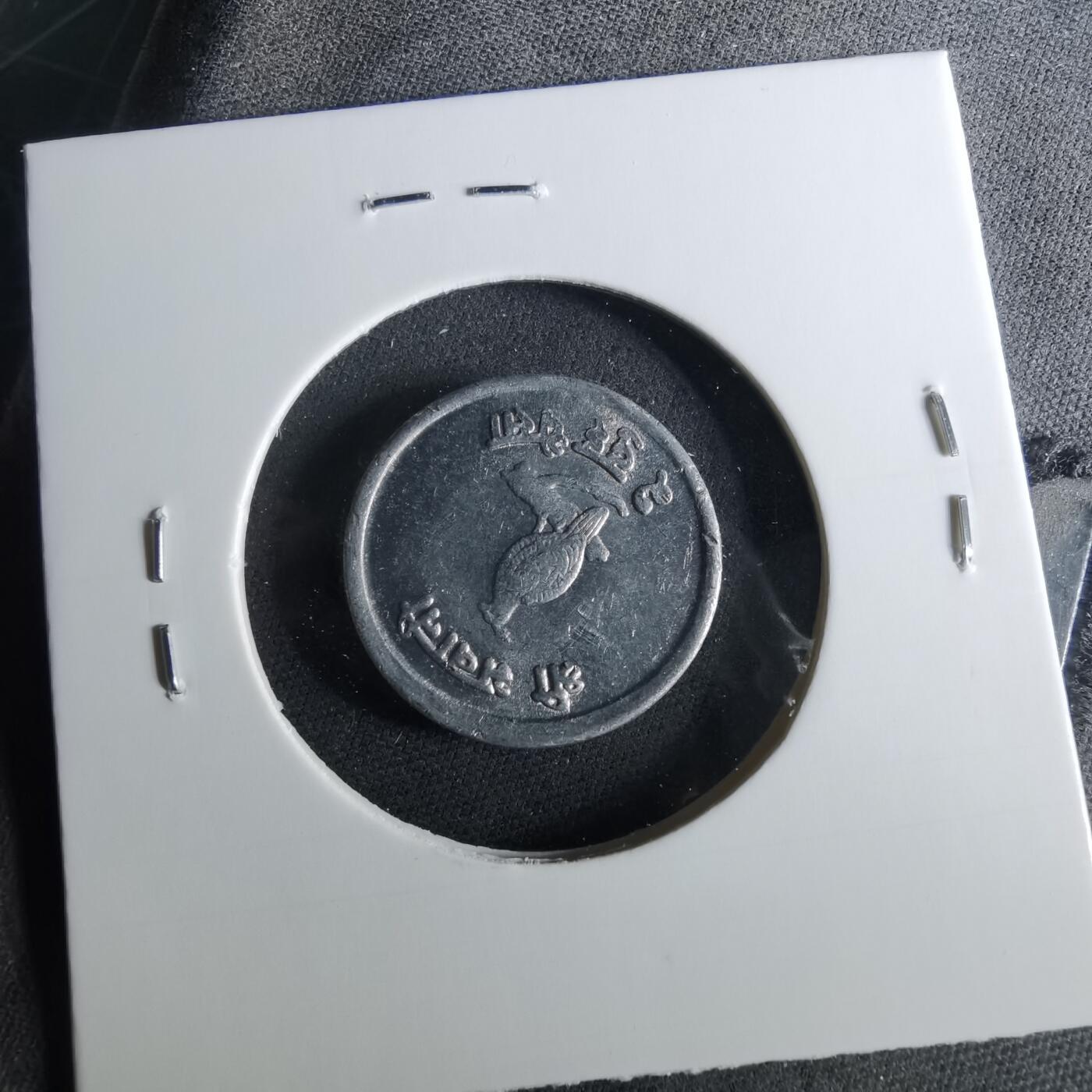 沼泽如烟--第956场