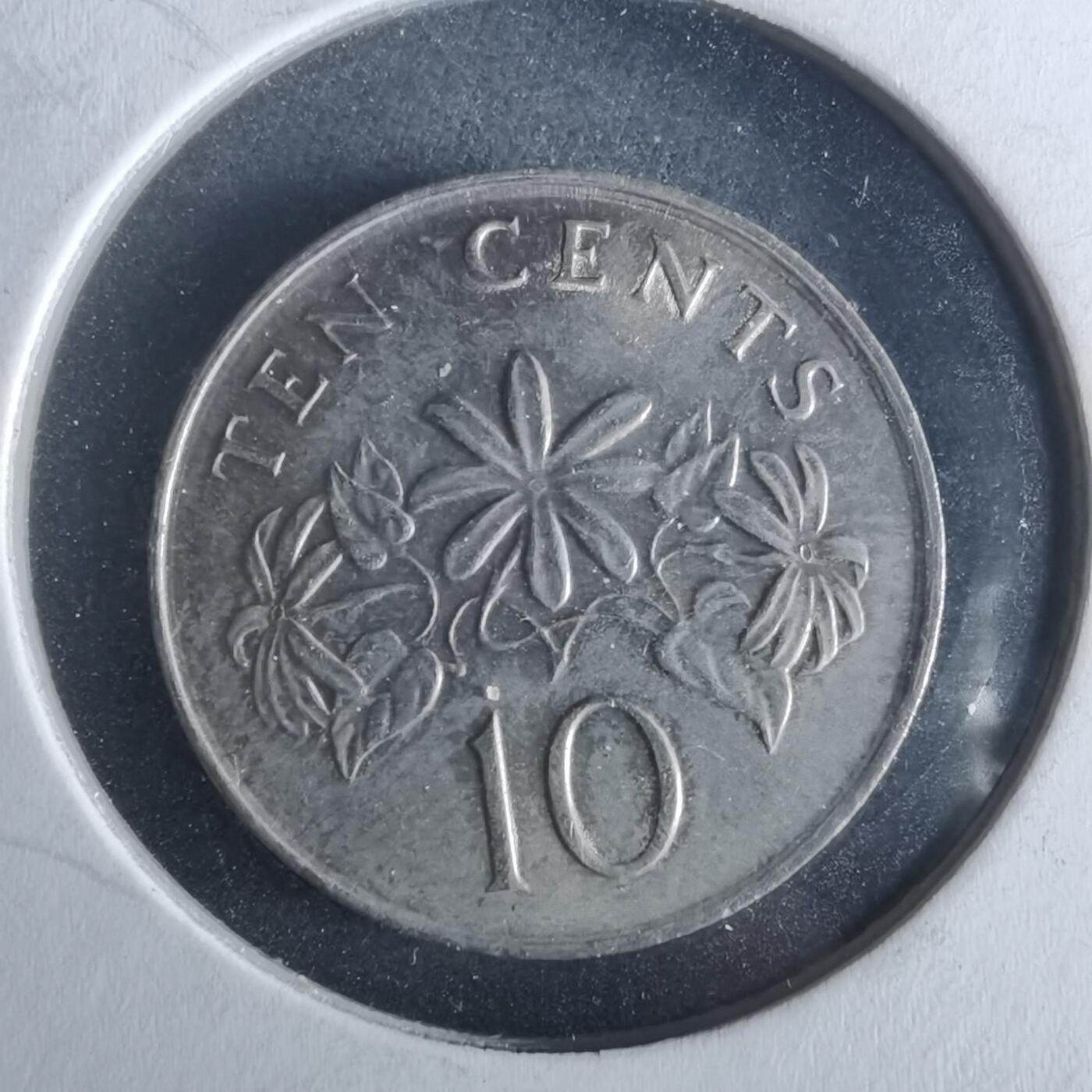 沼泽如烟--第956场