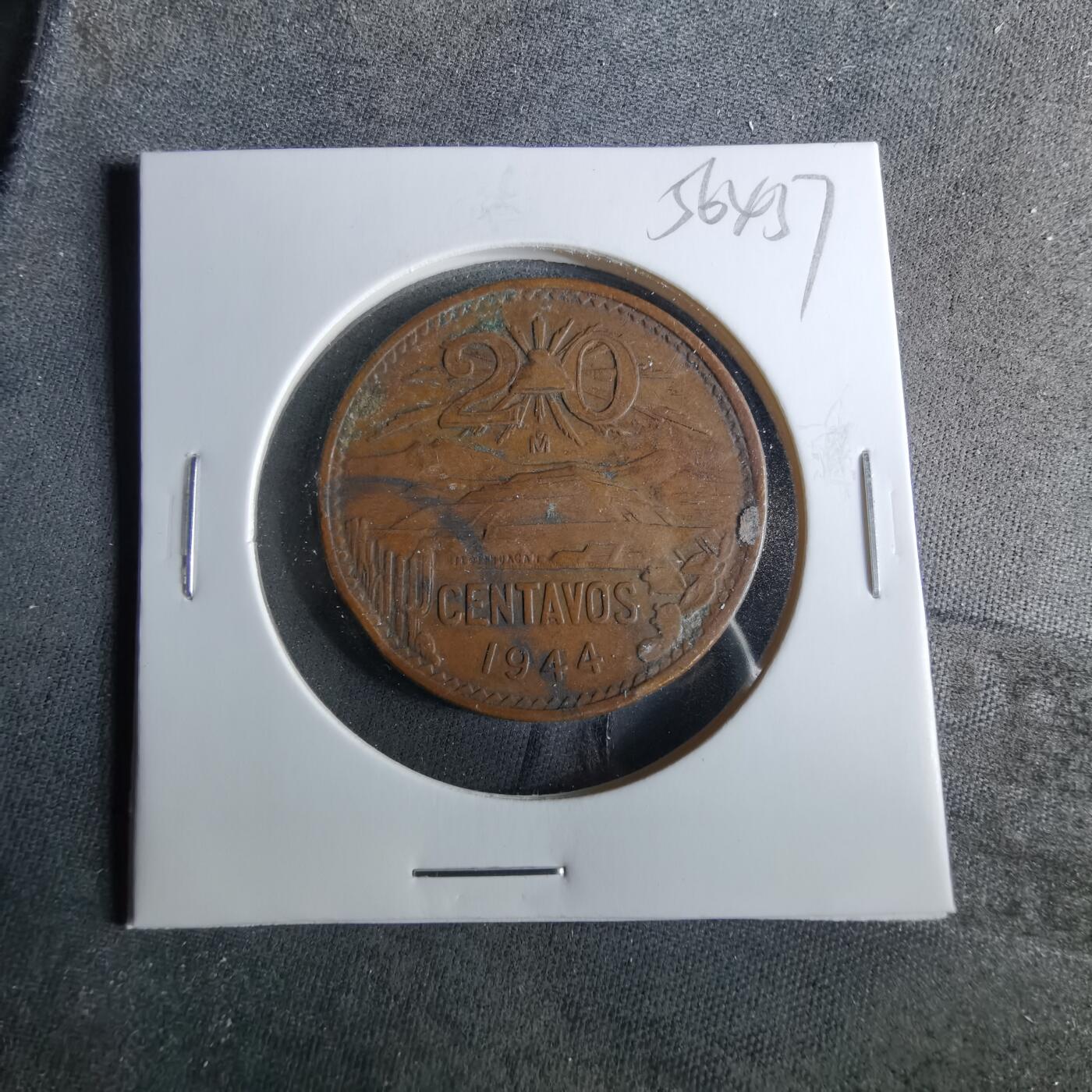 沼泽如烟--第956场