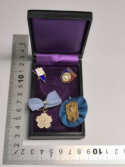 小驴勋章奖章收藏1月10日周六晚六点拍卖（珍爱和平，收藏战争，铭记历史，勿忘国耻，忠党爱国。有偿代拍，送拍规则在简介最后，参拍须阅读规则后再参拍，关系到运费包装发货时效真假辨别等关键信息，拍卖时不再发原图，看大图店主微信码在拍卖店铺介绍里） - 小徽章4个带个白叶空盒