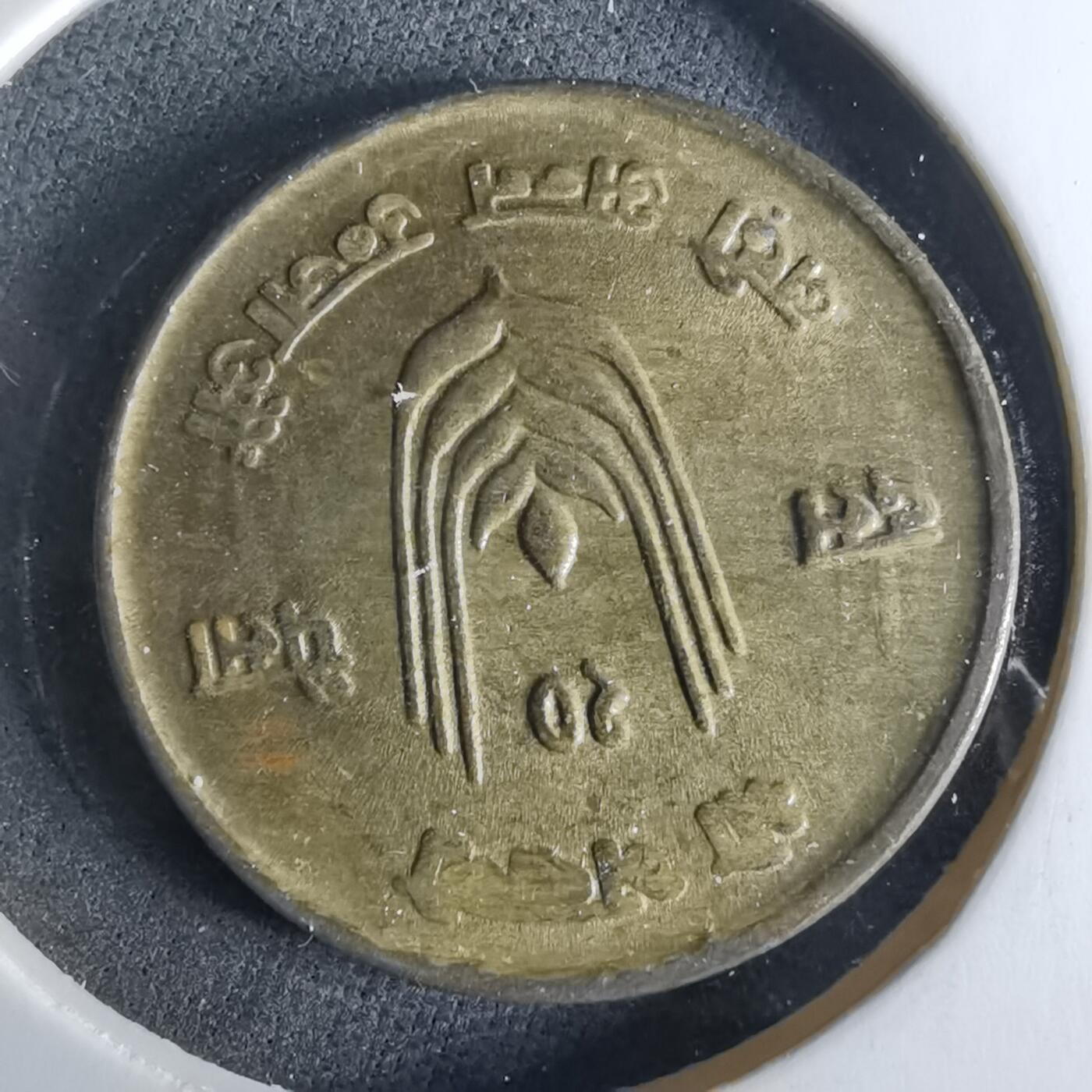 沼泽如烟--第956场