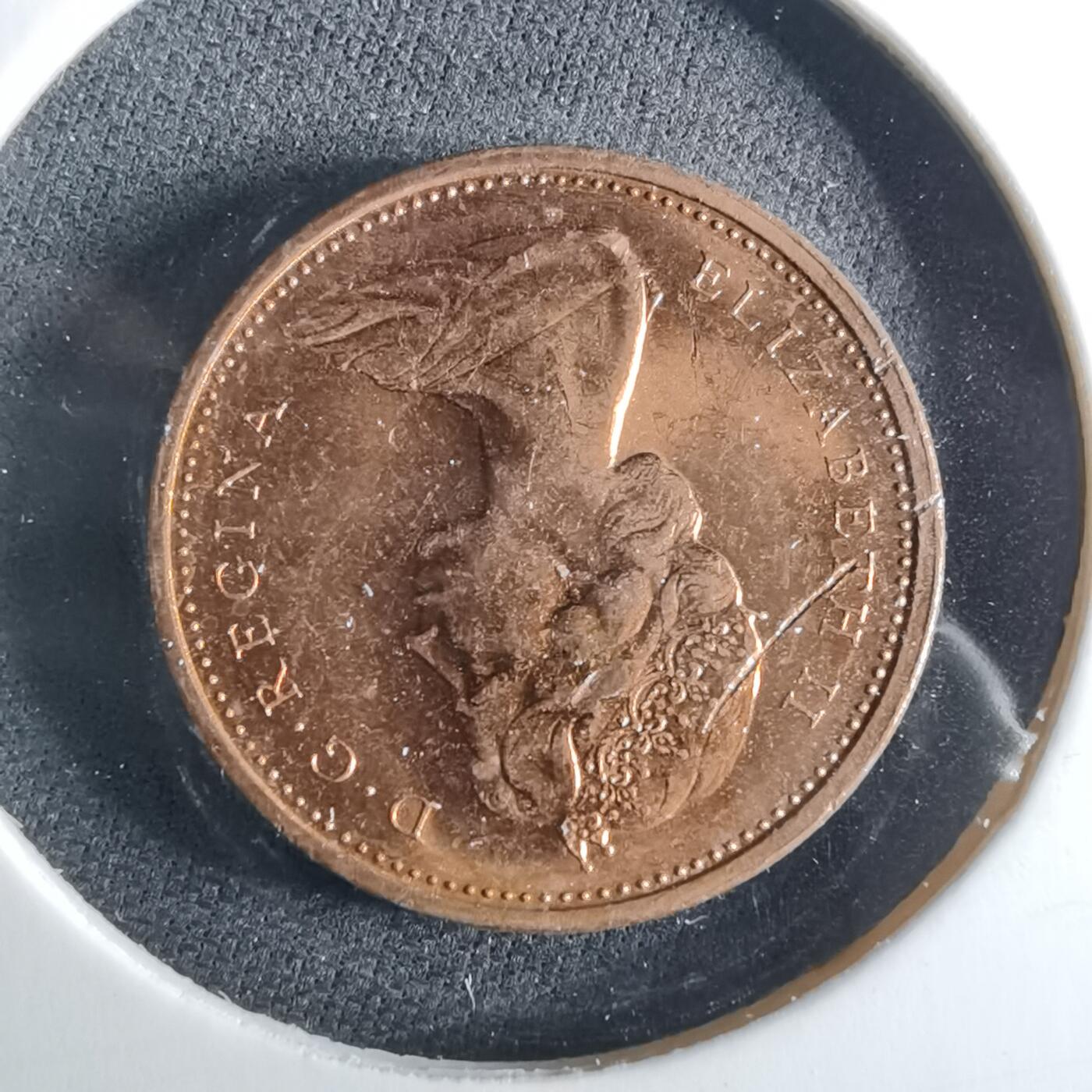 沼泽如烟--第956场