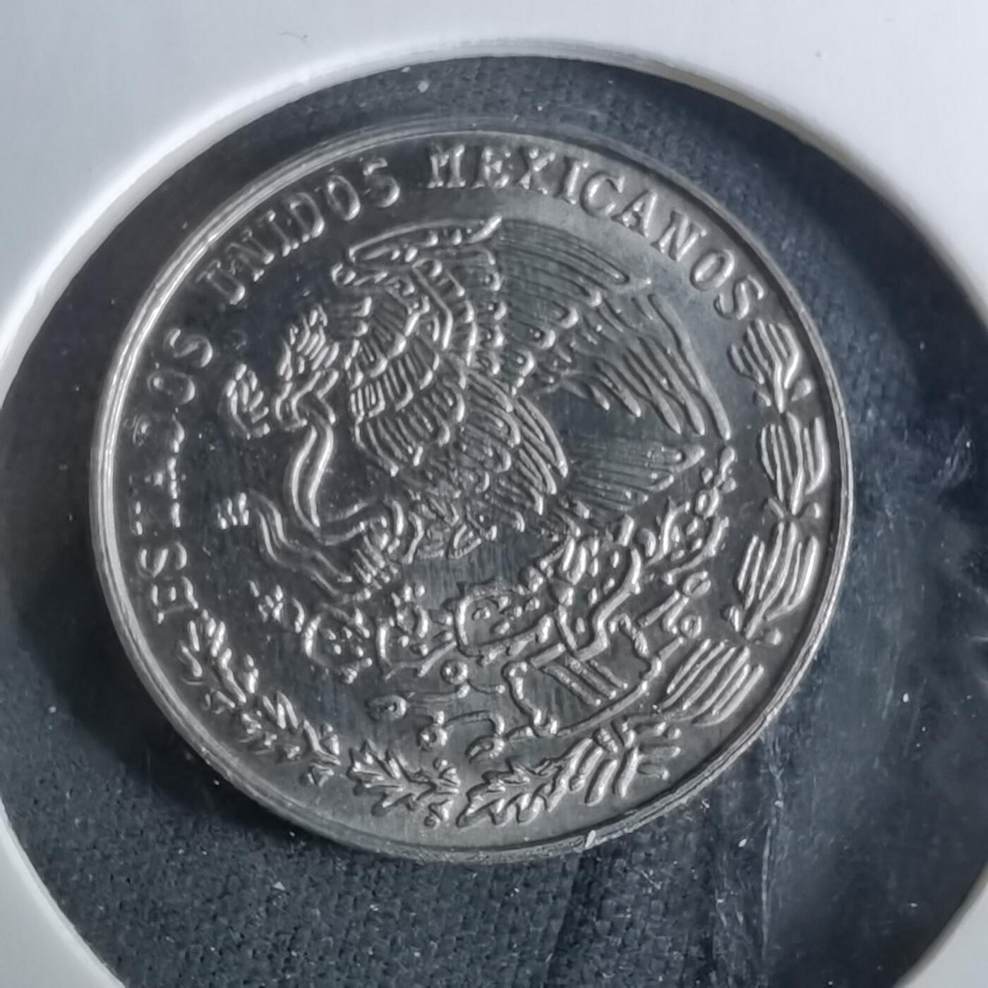 沼泽如烟--第956场