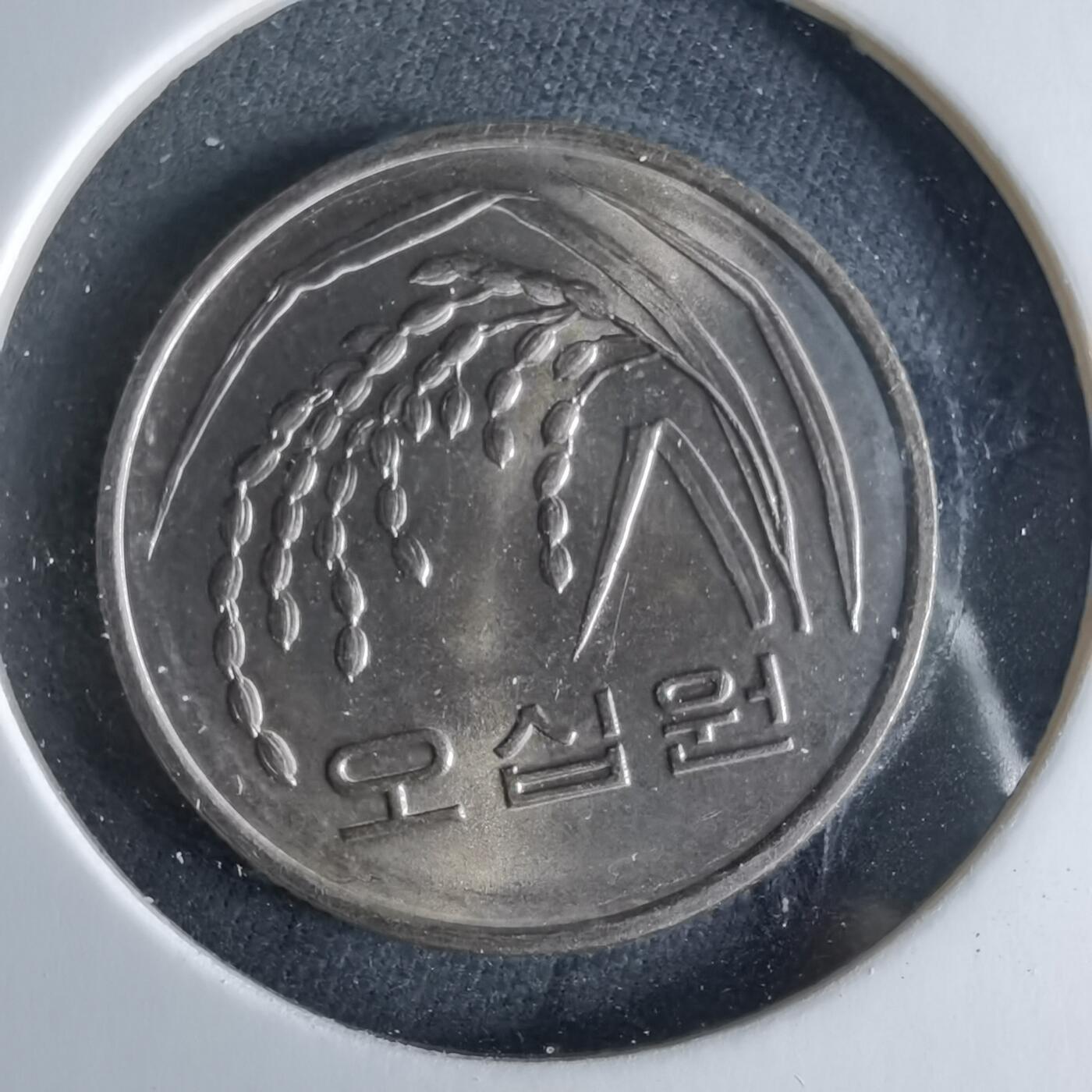 沼泽如烟--第956场