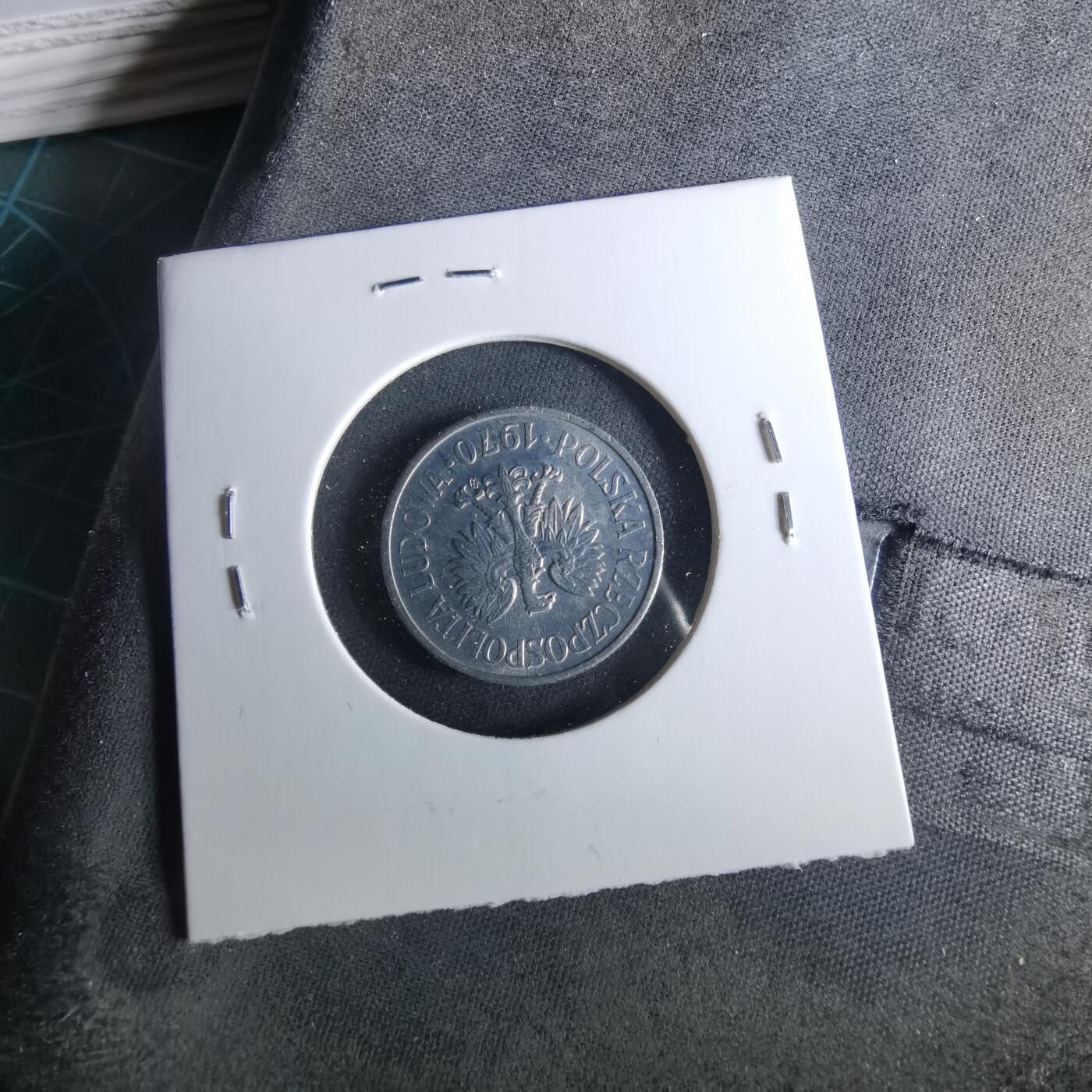 沼泽如烟--第956场