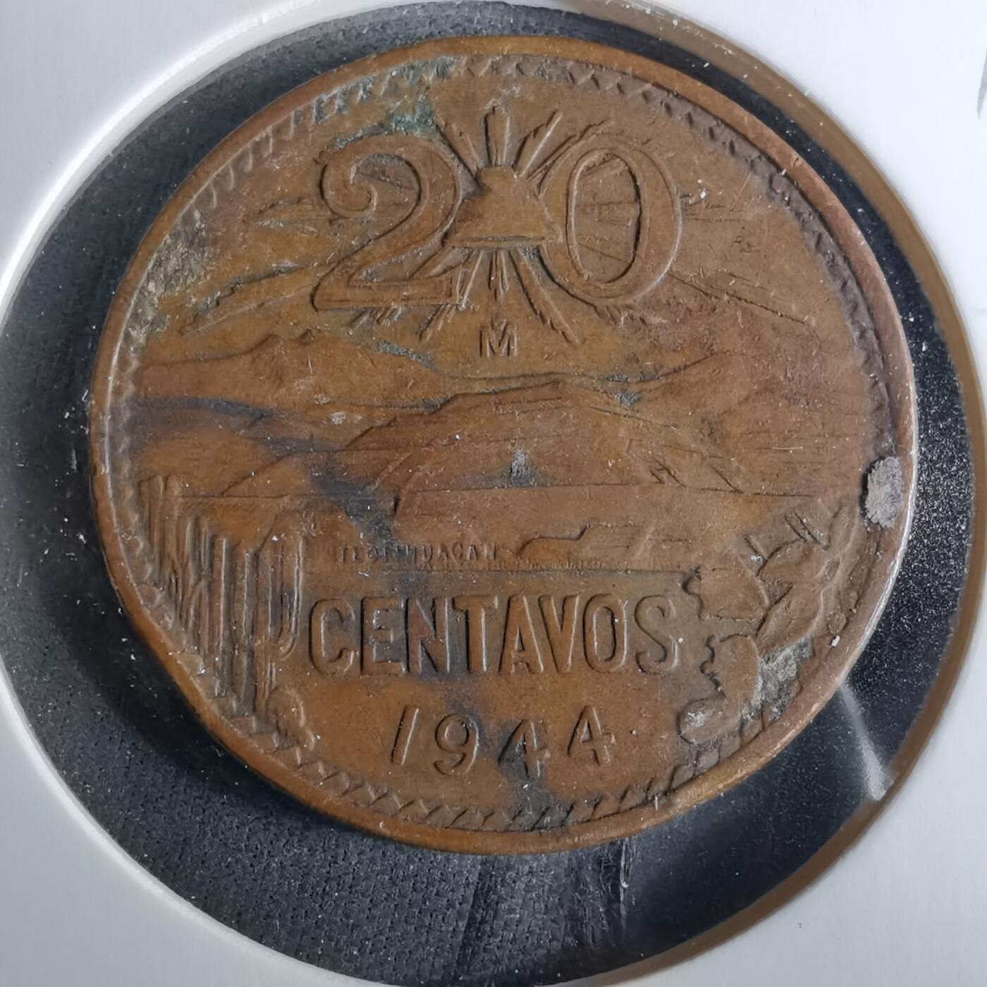 沼泽如烟--第956场