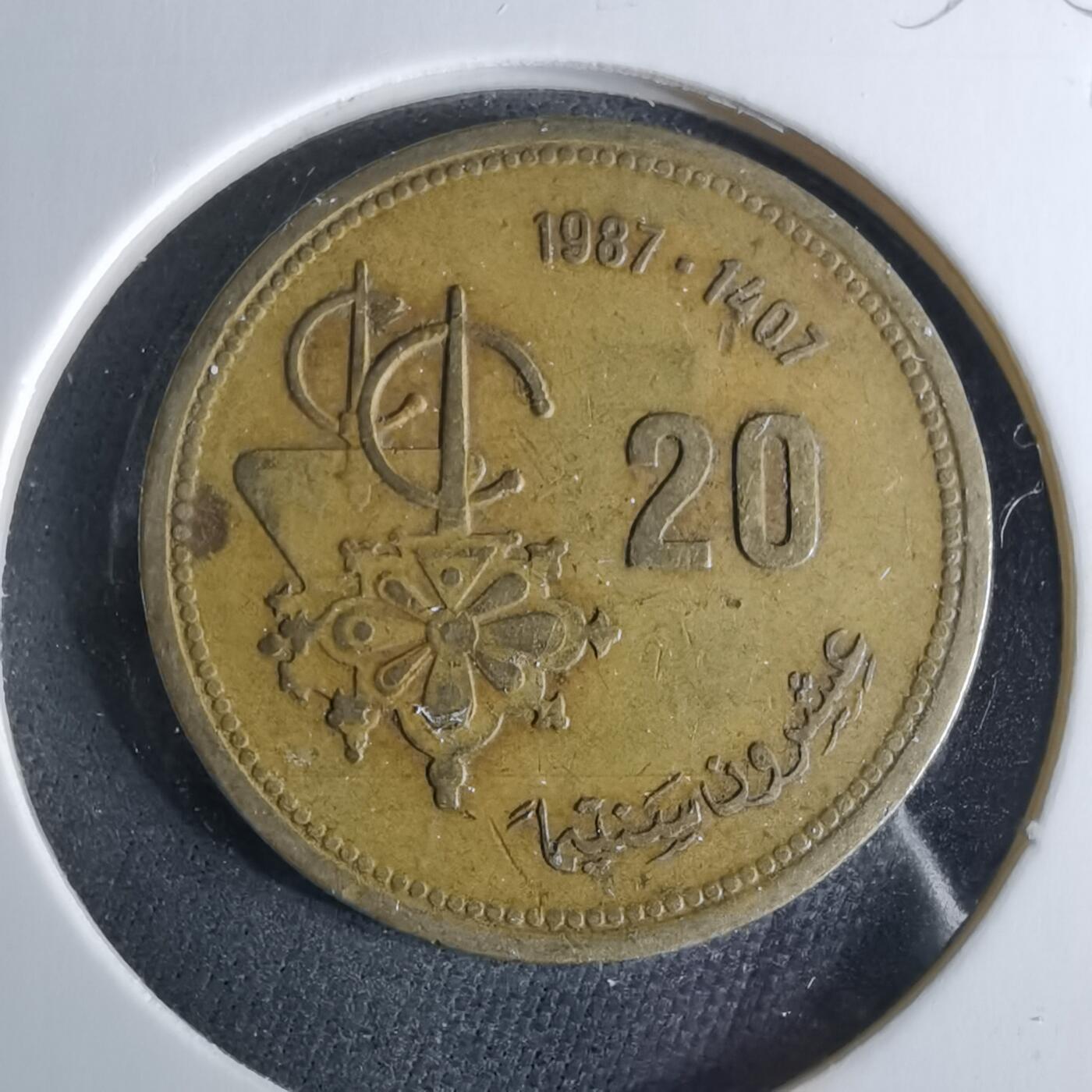 沼泽如烟--第956场