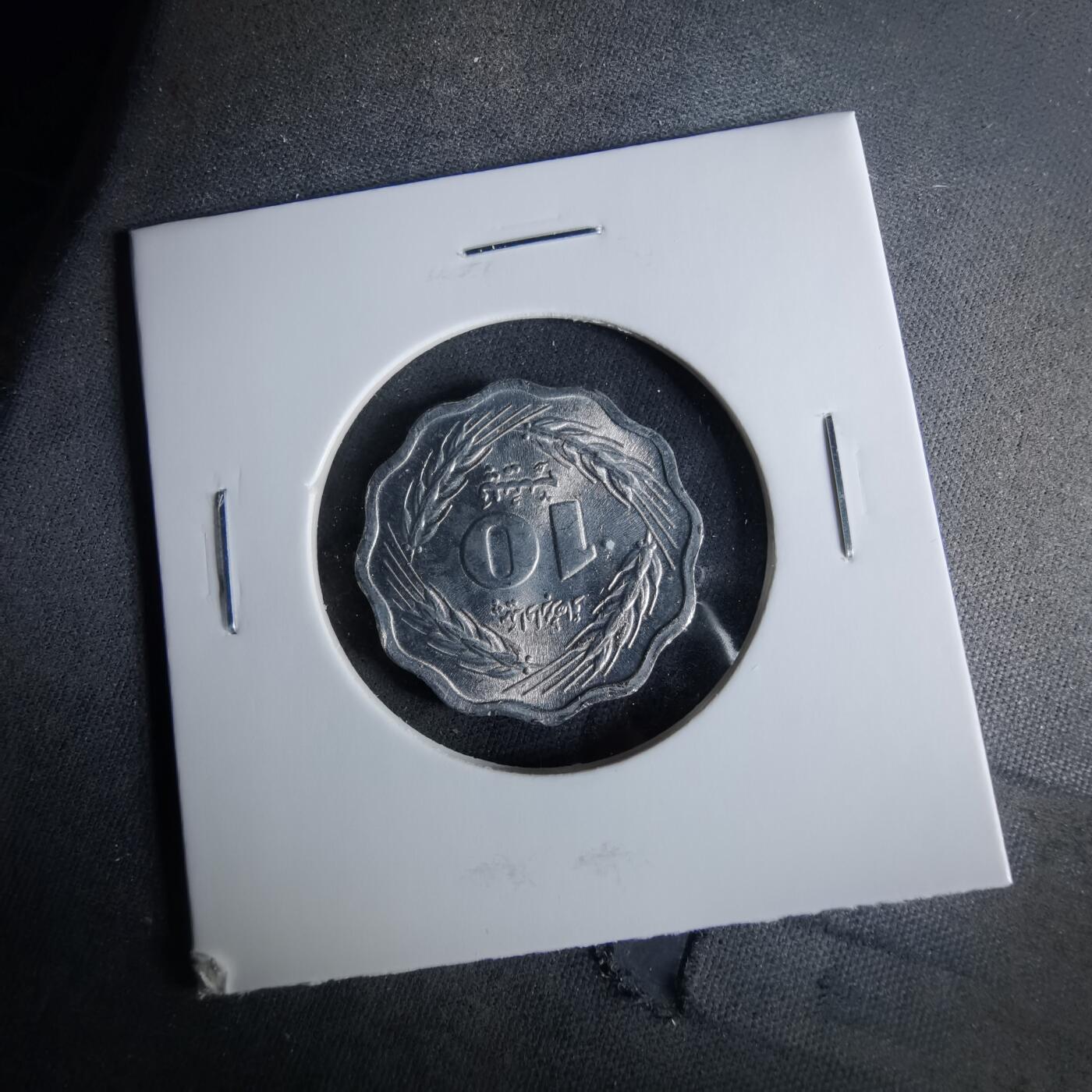 沼泽如烟--第956场