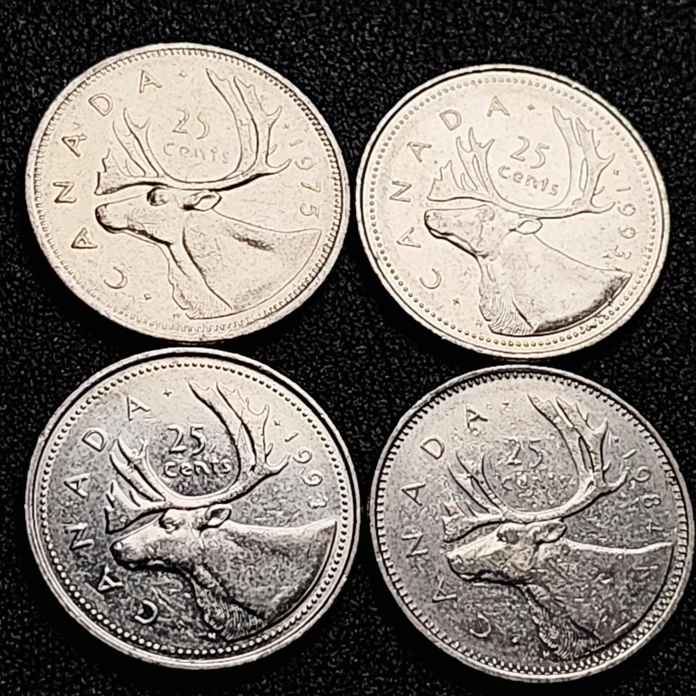 泉币菌-第167场- 精品福利场