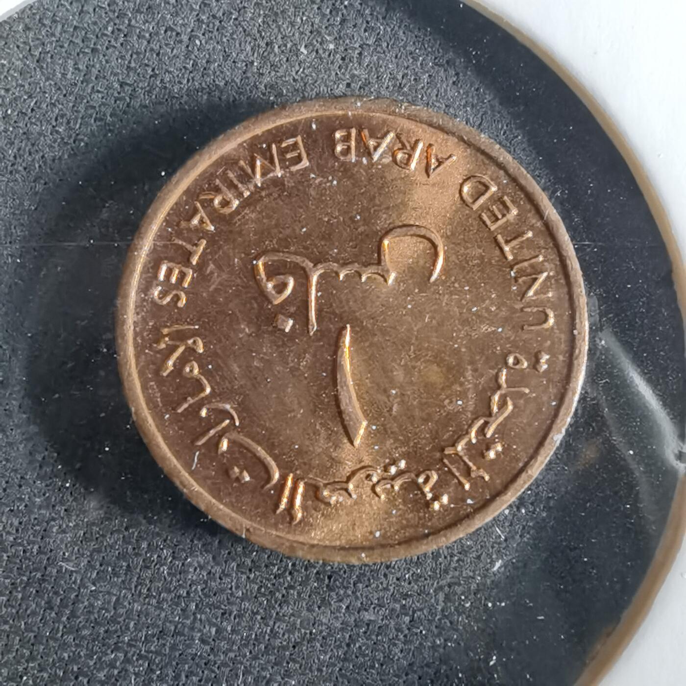 沼泽如烟--第956场