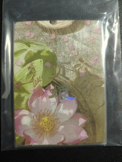 天玑星卡拍第159期《1.12周一截拍》持续收拍收评中 满赠卡需备注 - 焱卡文化 人间传 风花雪月 贞娘 九拼 普卡