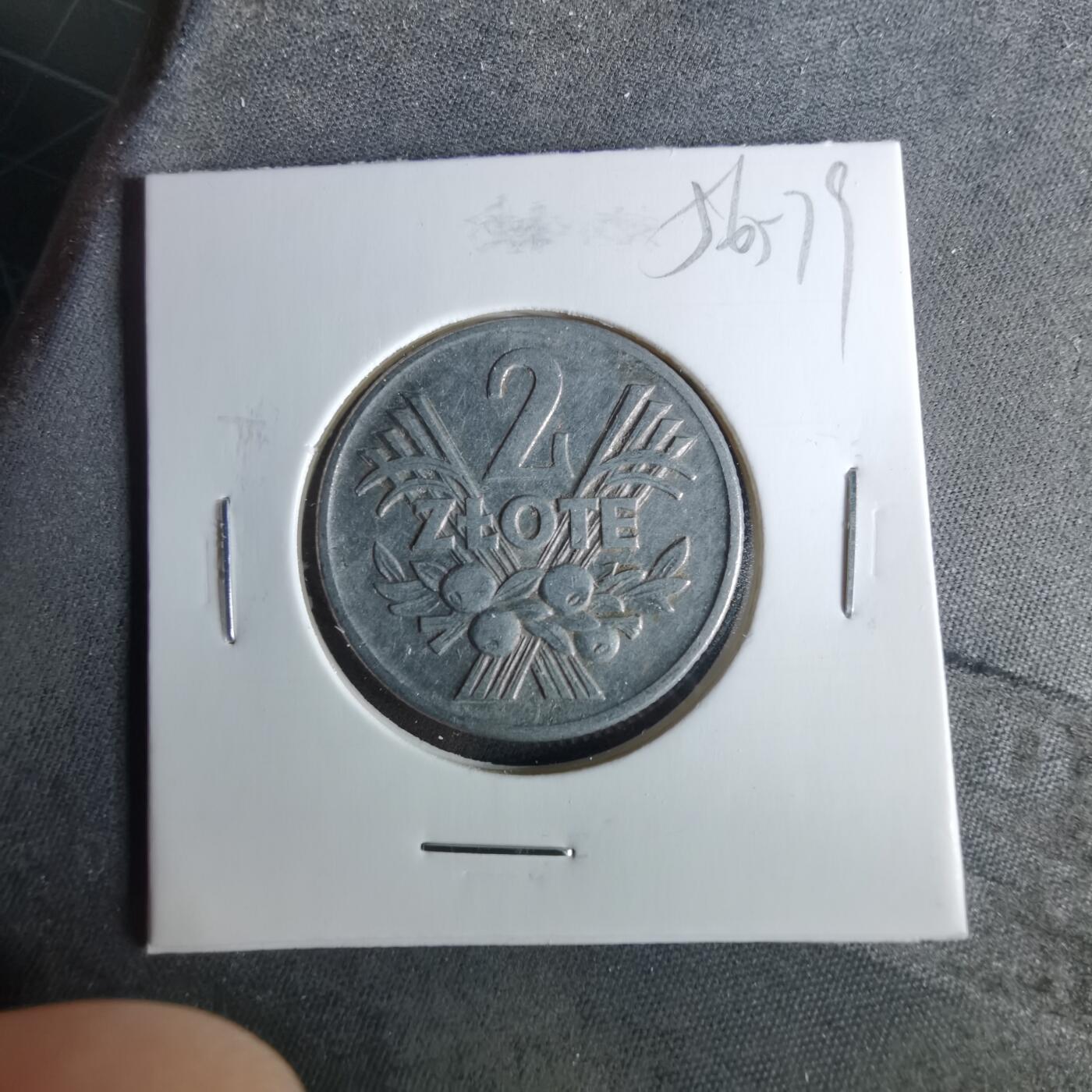 沼泽如烟--第956场