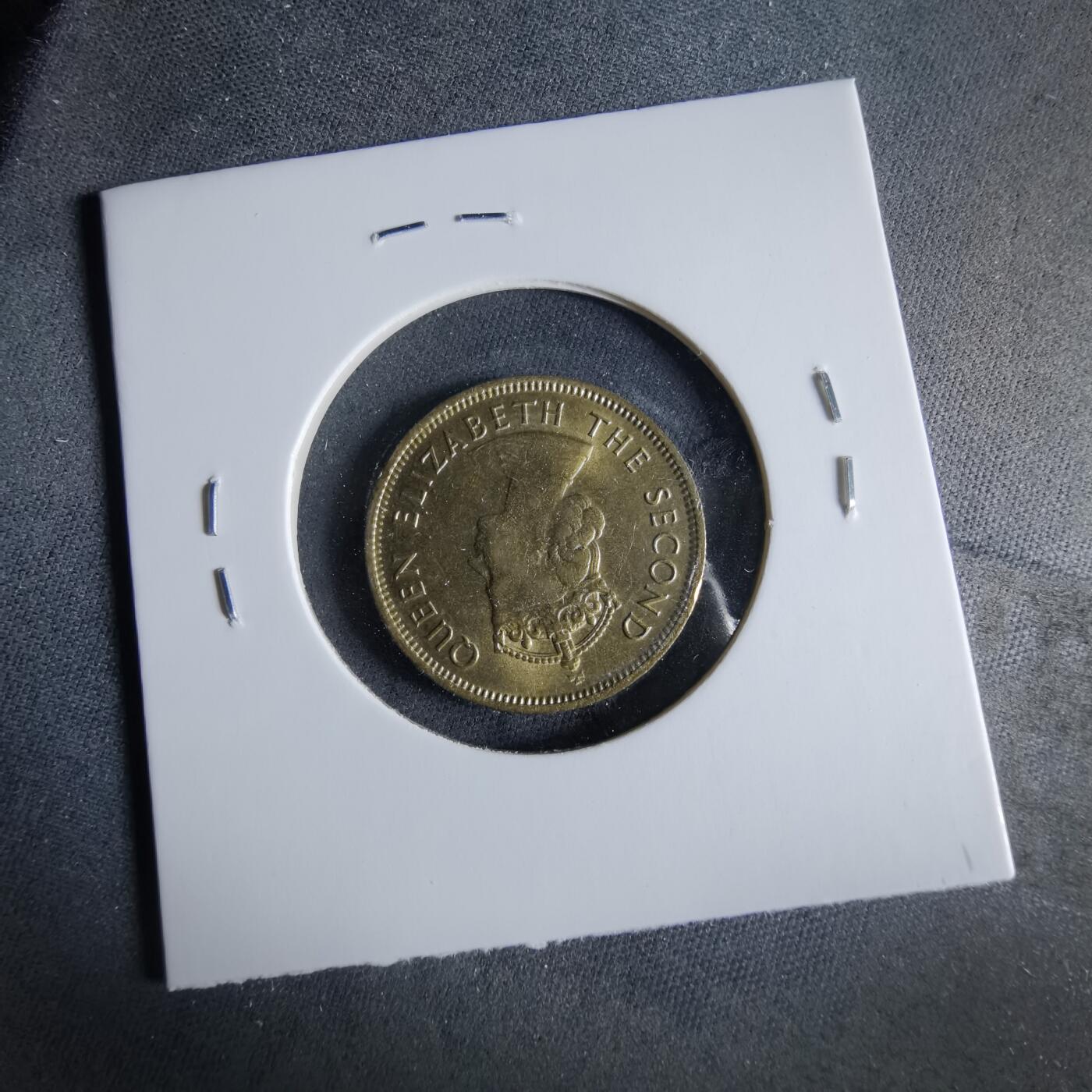 沼泽如烟--第956场