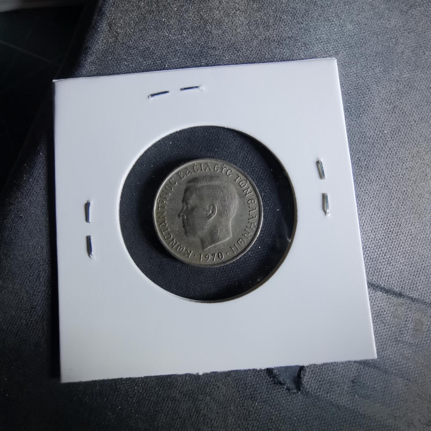 沼泽如烟--第956场