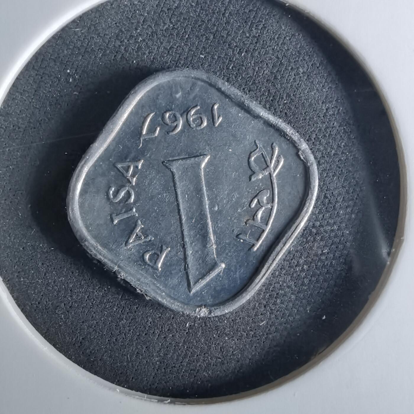 沼泽如烟--第956场