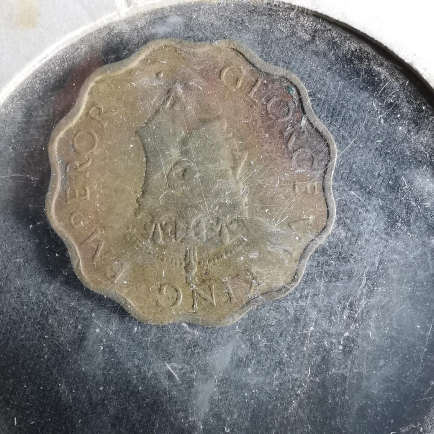 沼泽如烟--第956场